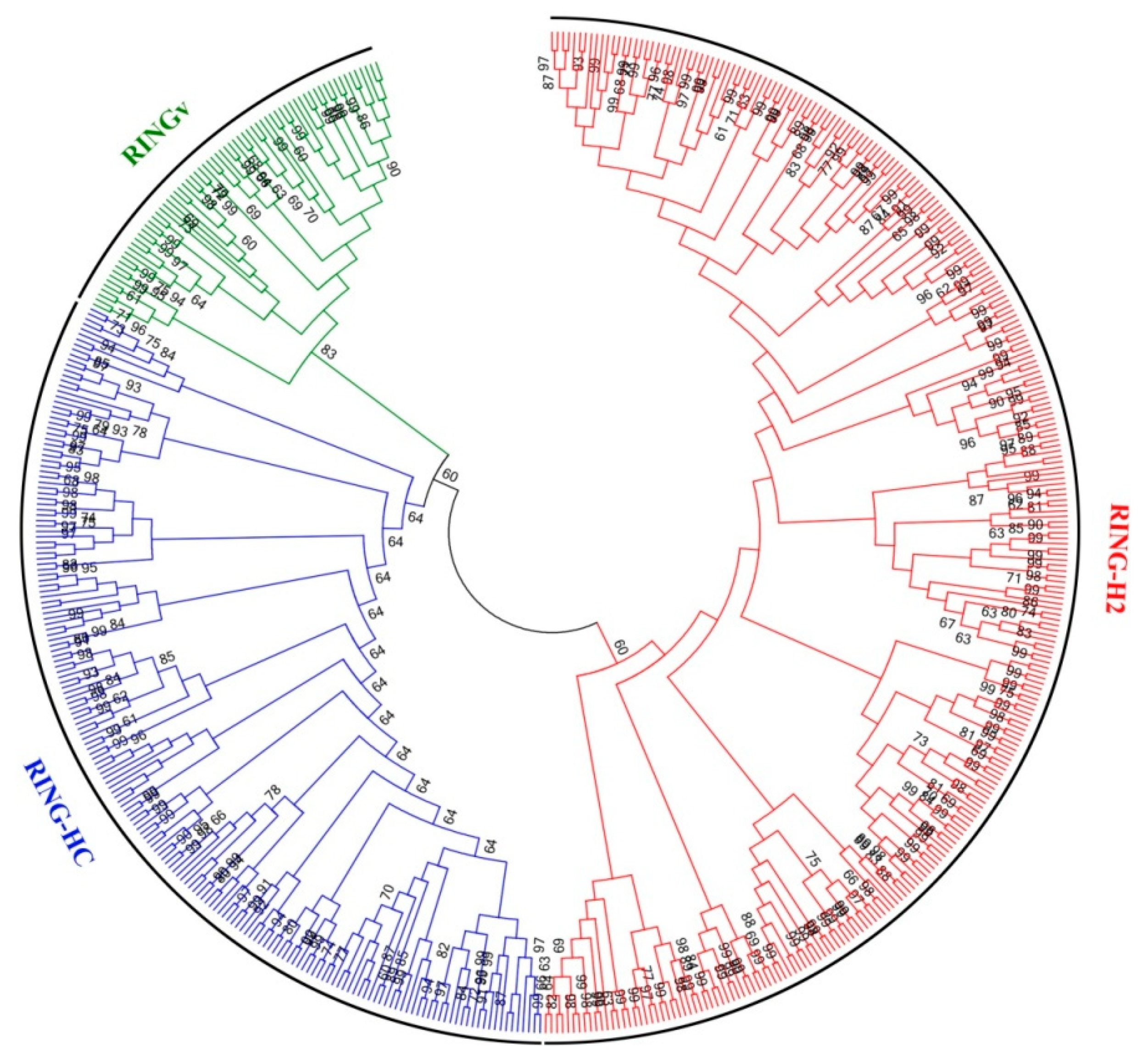 Forests 10 00698 g001 Forests 10 00698 g001