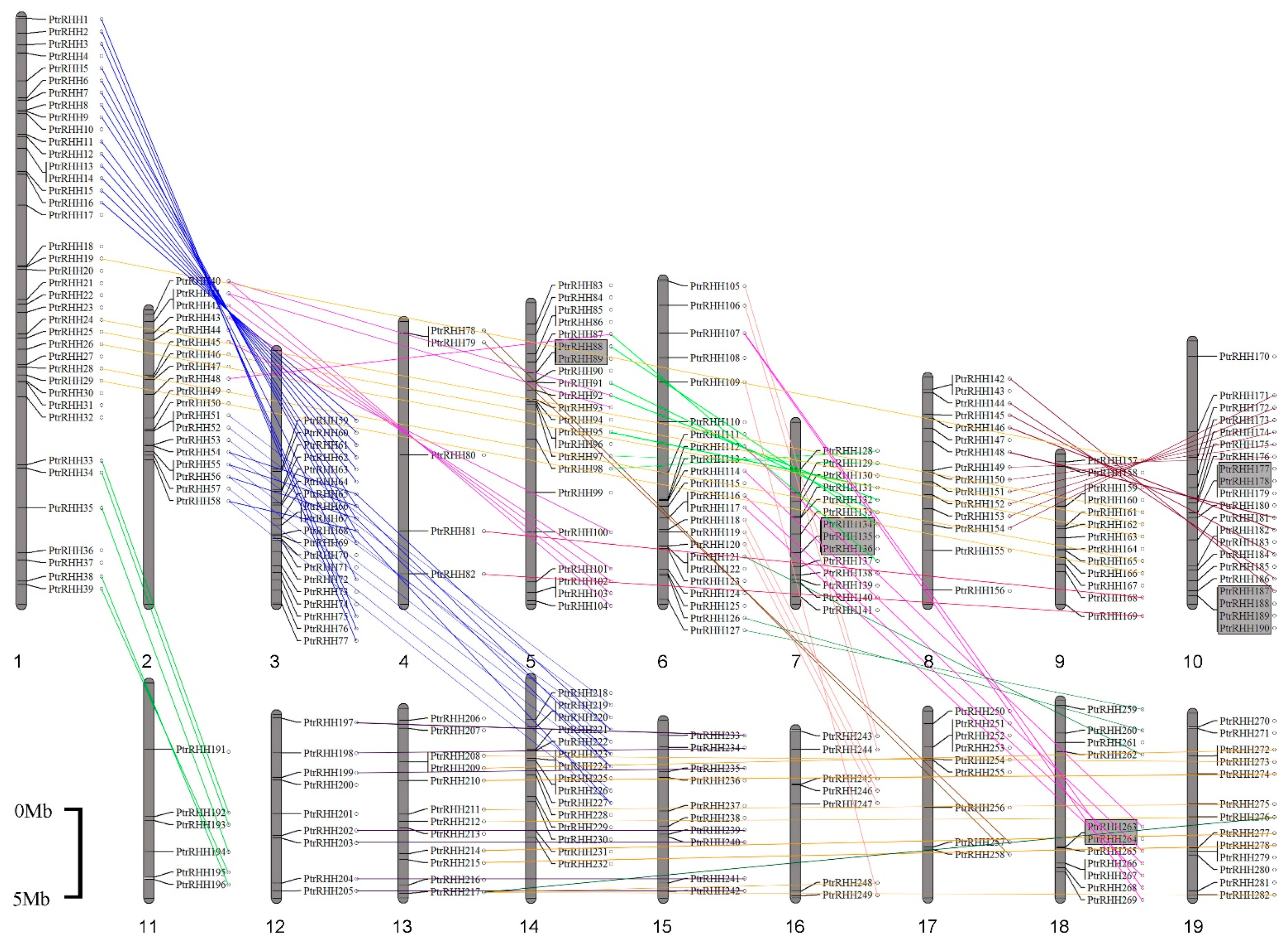 Forests 10 00698 g002 Forests 10 00698 g002
