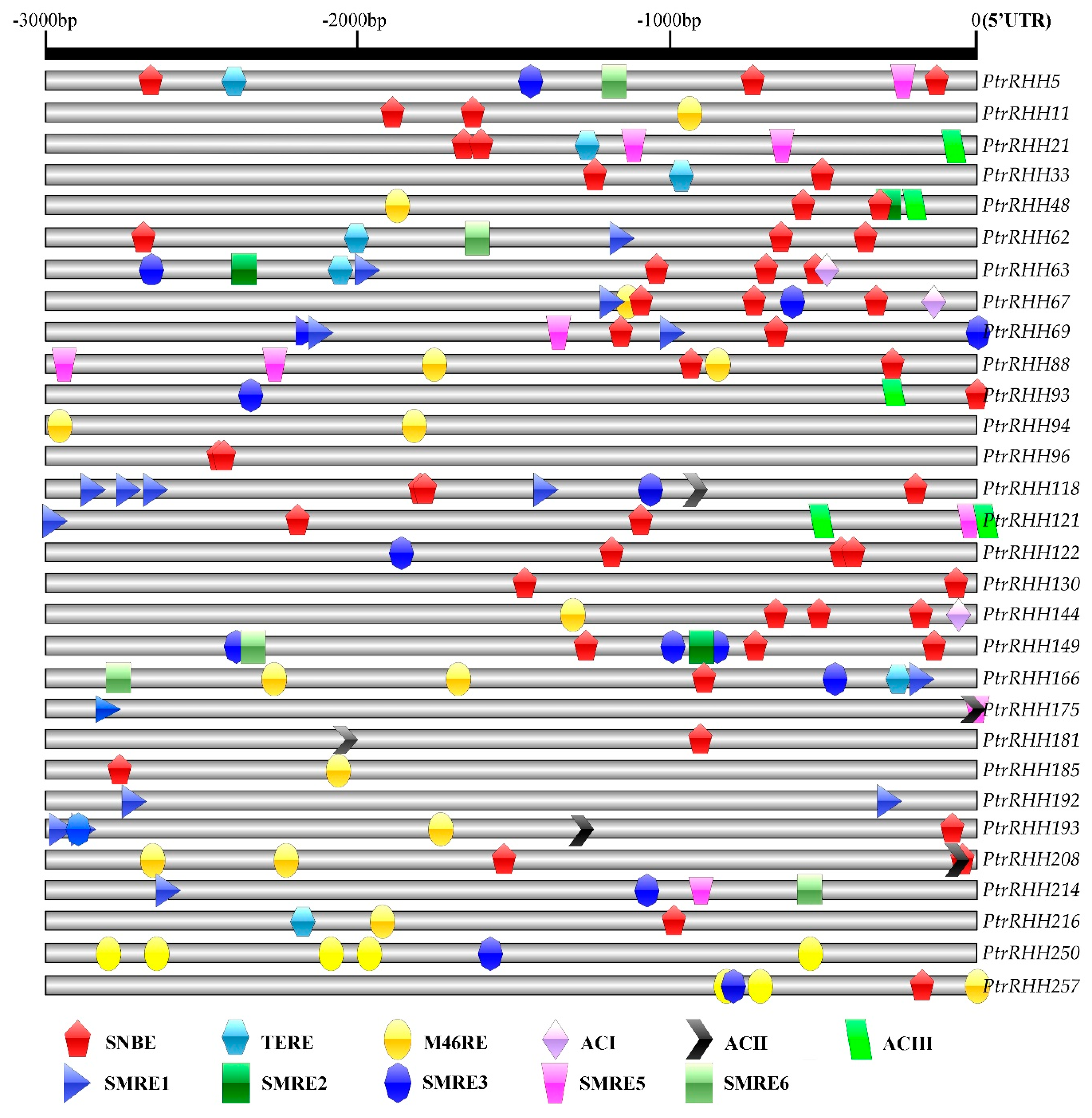 Forests 10 00698 g005 Forests 10 00698 g005