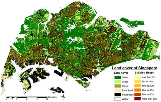 Forests 10 00700 g0a3
