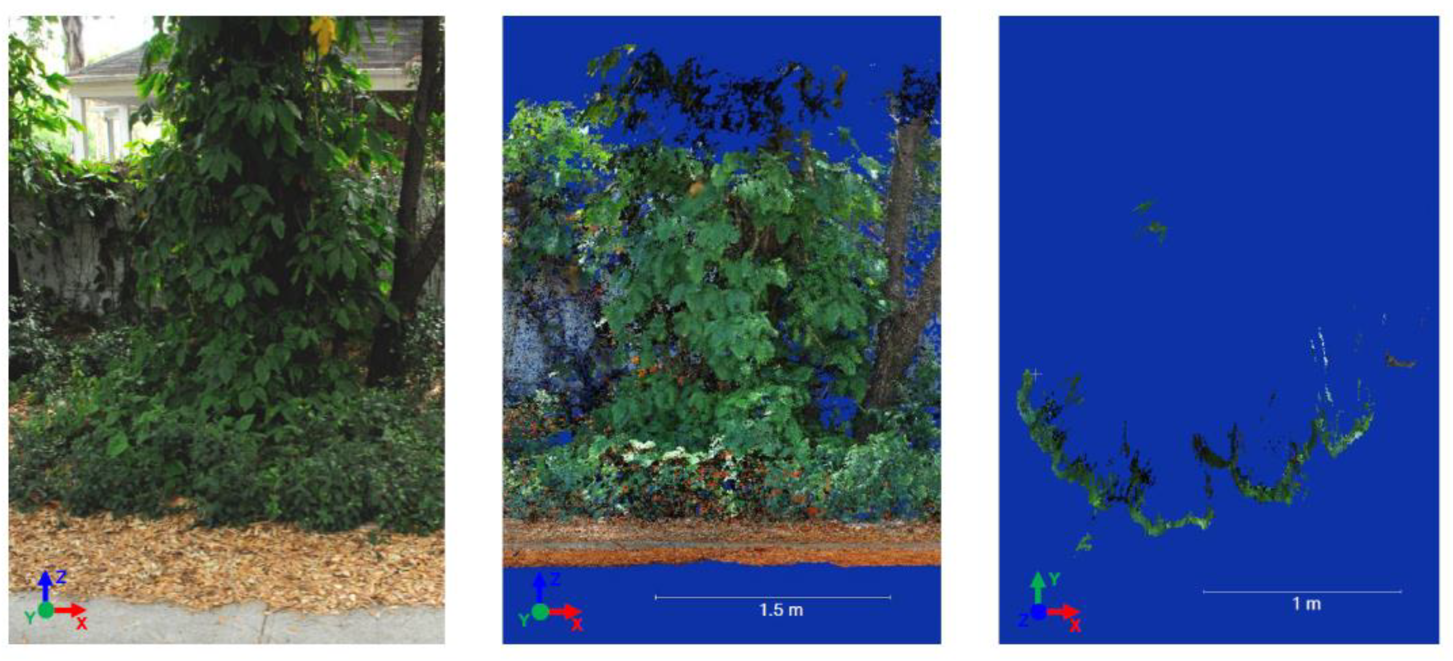 Forests 10 00701 g007 Forests 10 00701 g007