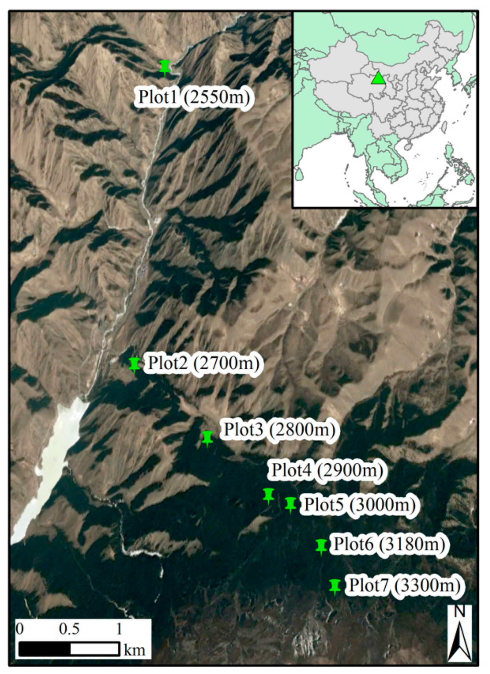 Forests 10 00712 g001