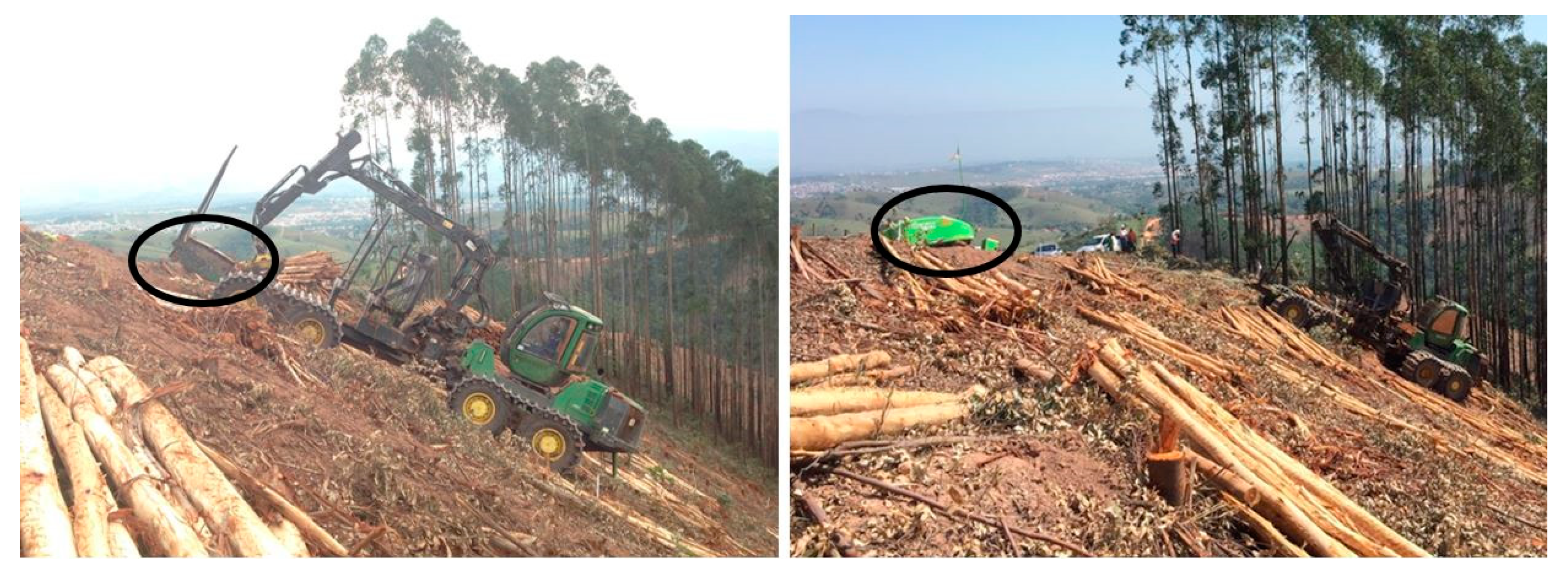 Forests 10 00721 g002 Forests 10 00721 g002