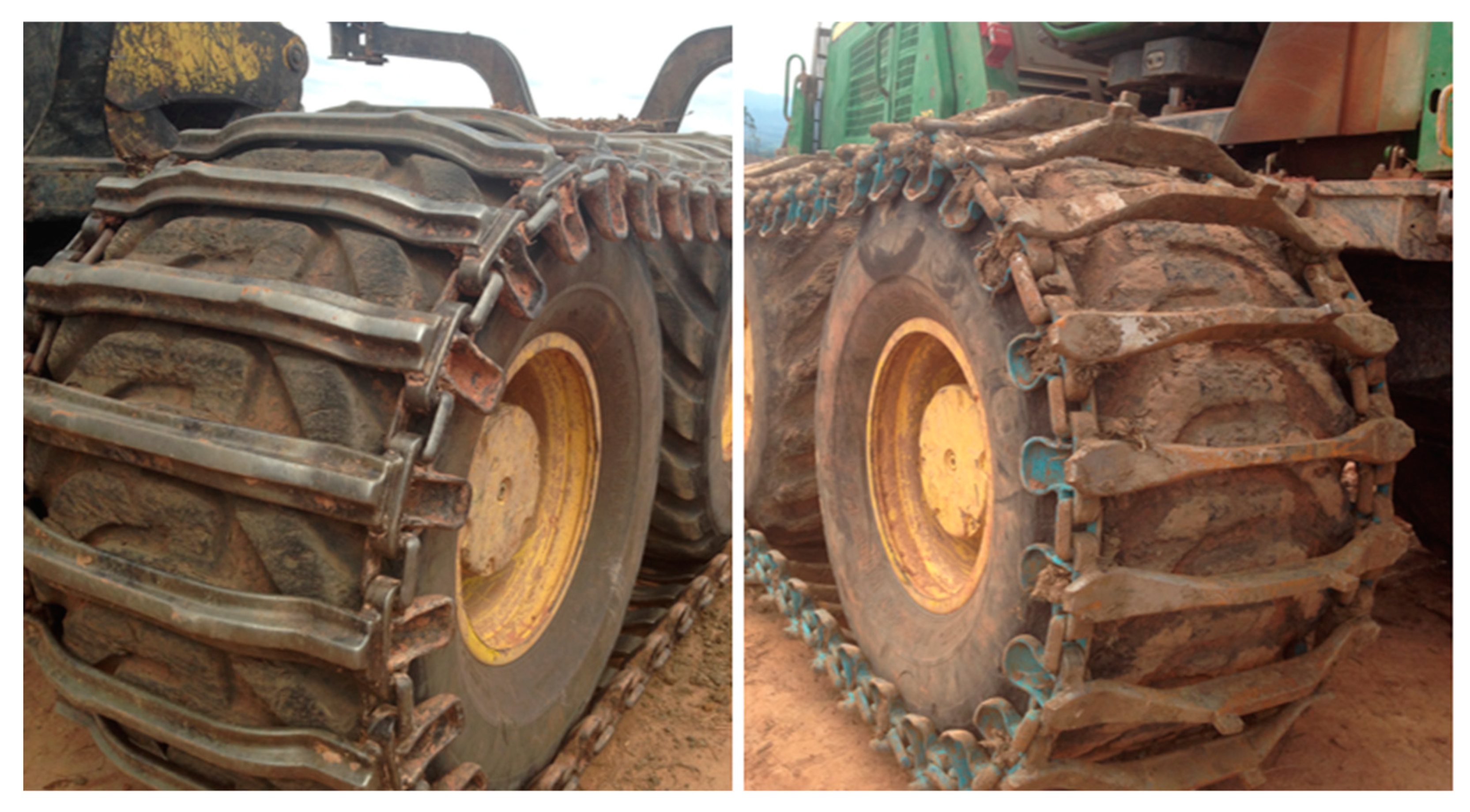 Forests 10 00721 g003 Forests 10 00721 g003