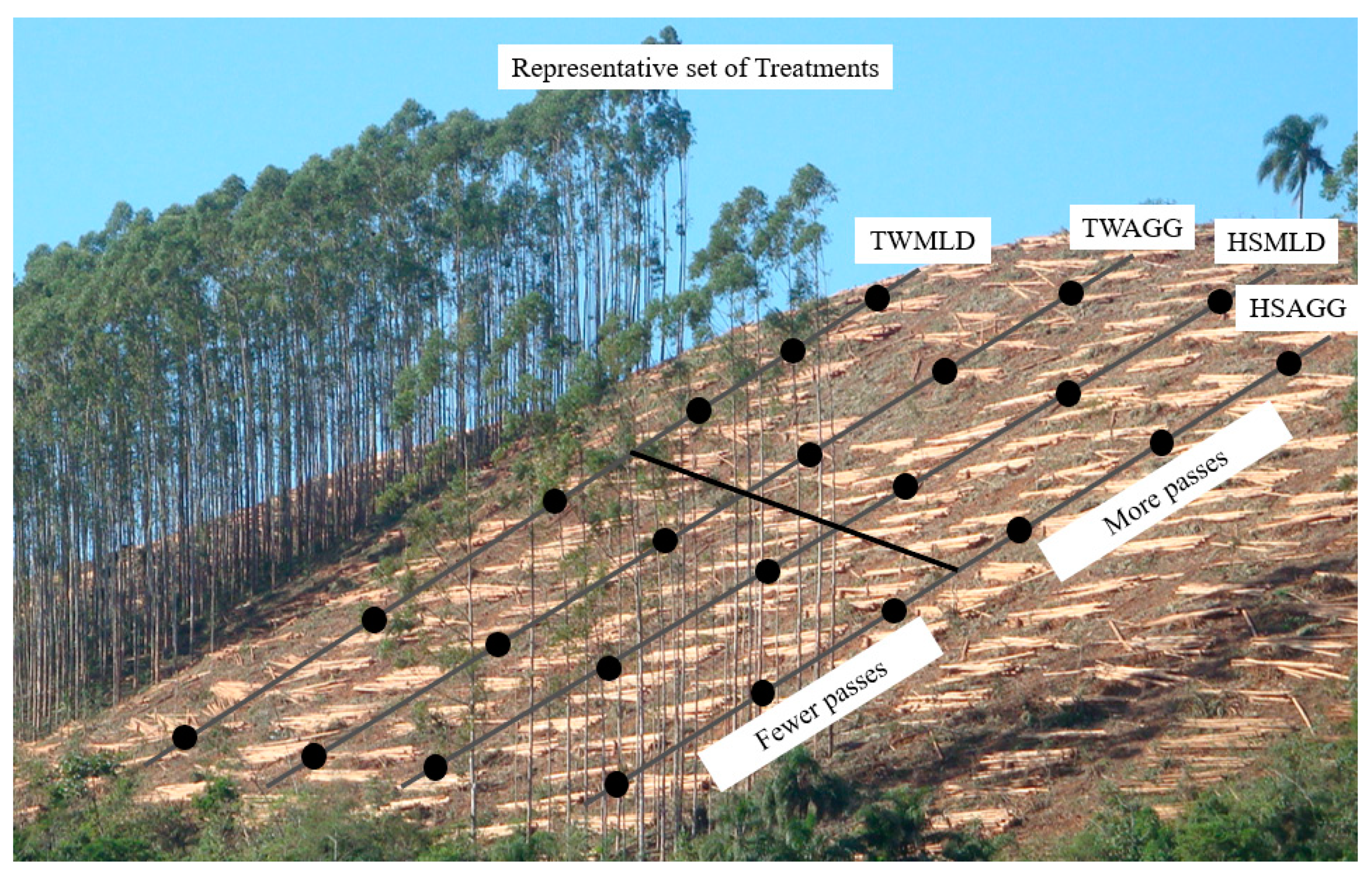 Forests 10 00721 g005 Forests 10 00721 g005