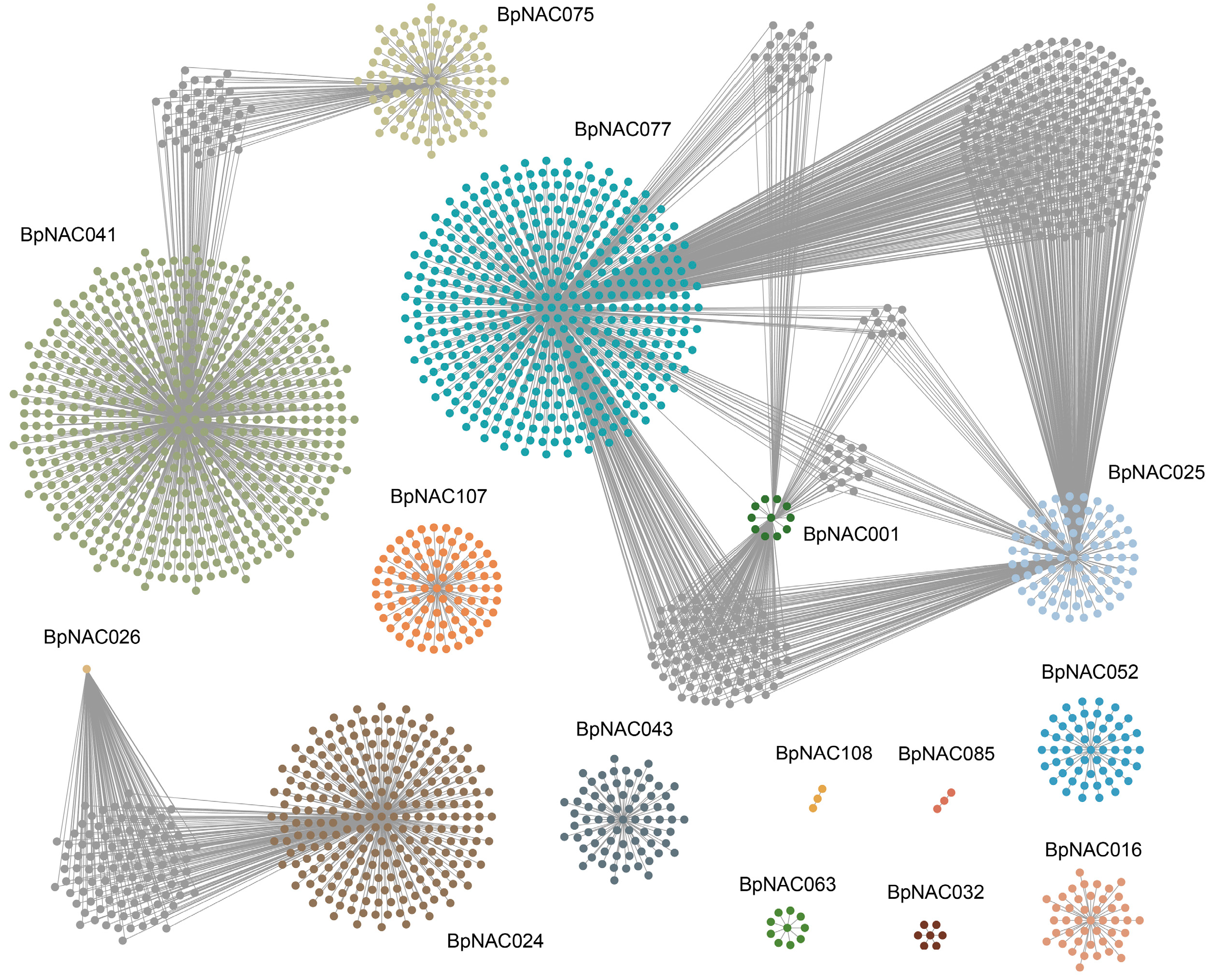 Forests 10 00741 g004