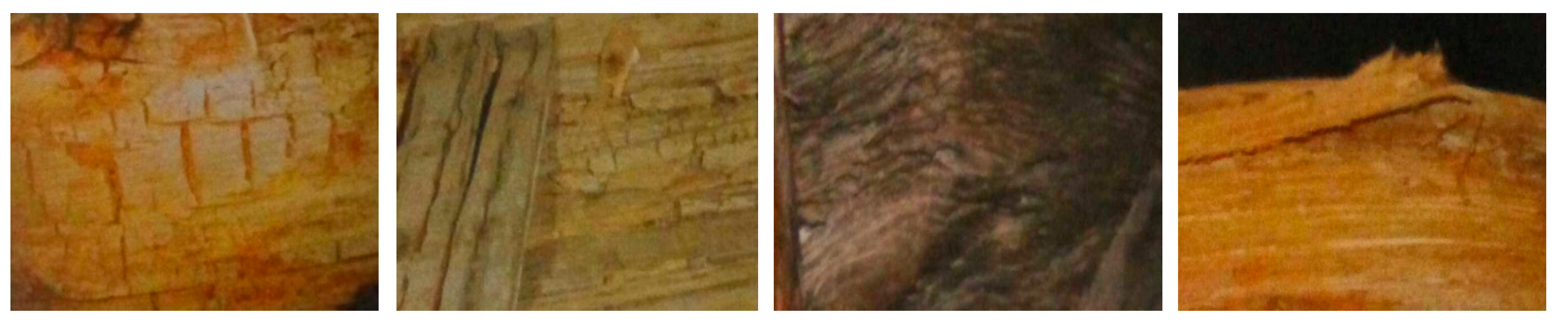 Forests 10 00767 g001