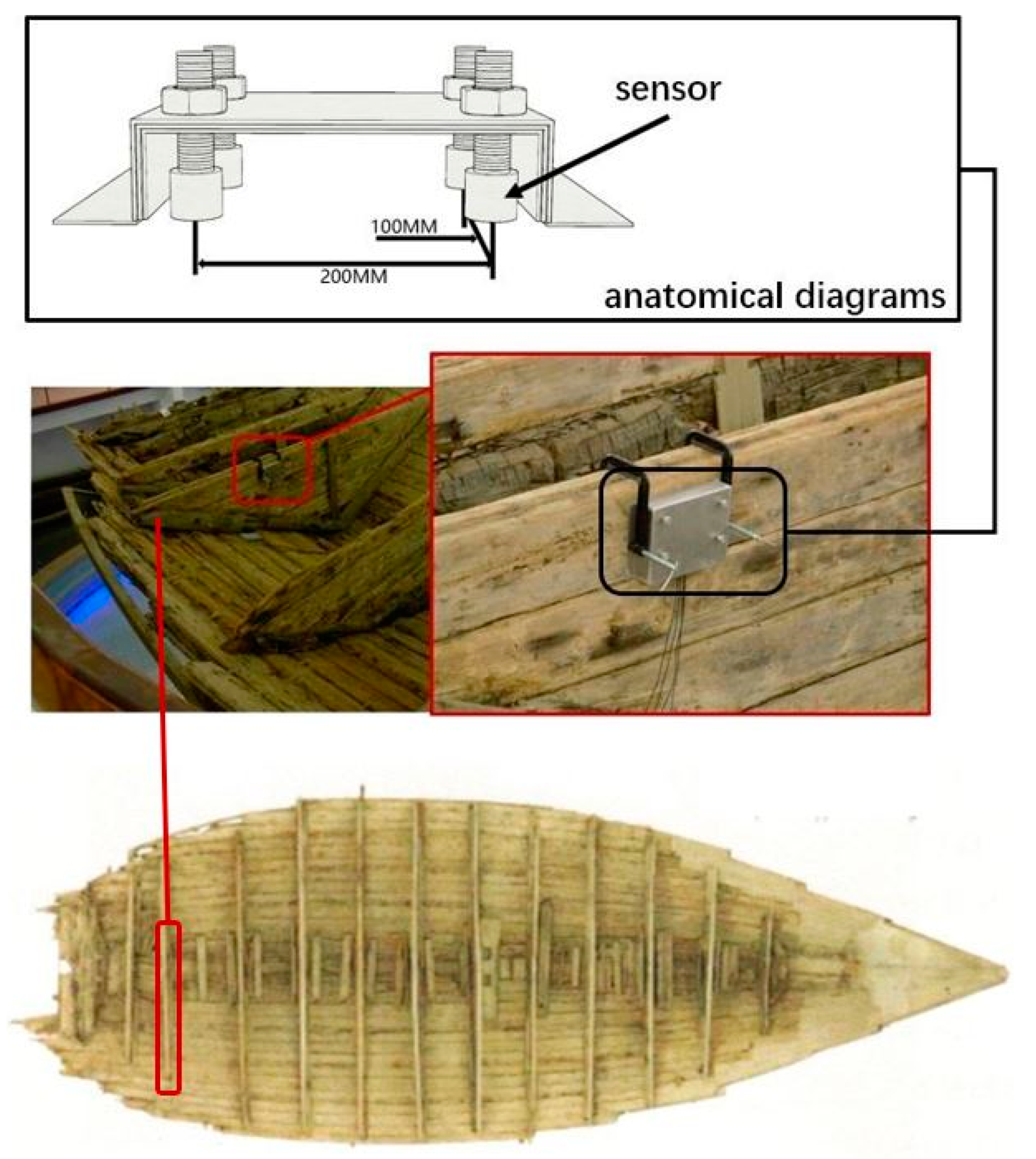 Forests 10 00767 g005