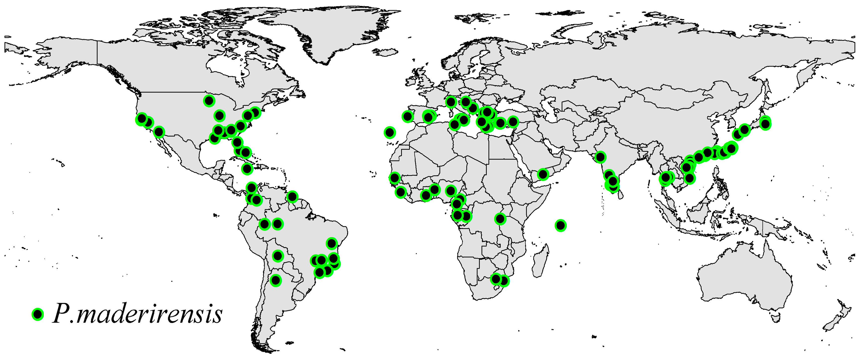 Forests 10 00773 g001