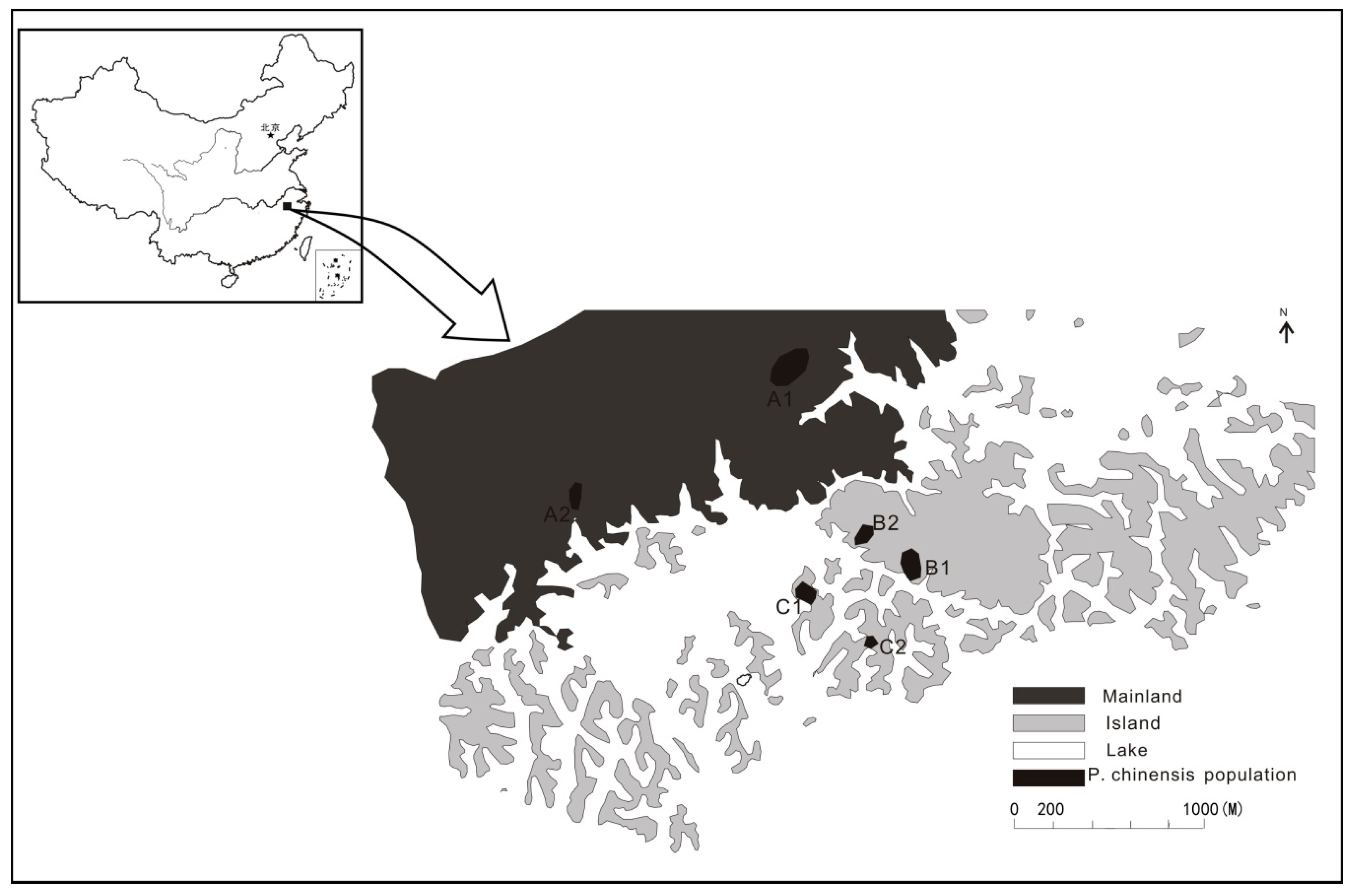 Forests 10 00792 g002 Forests 10 00792 g002
