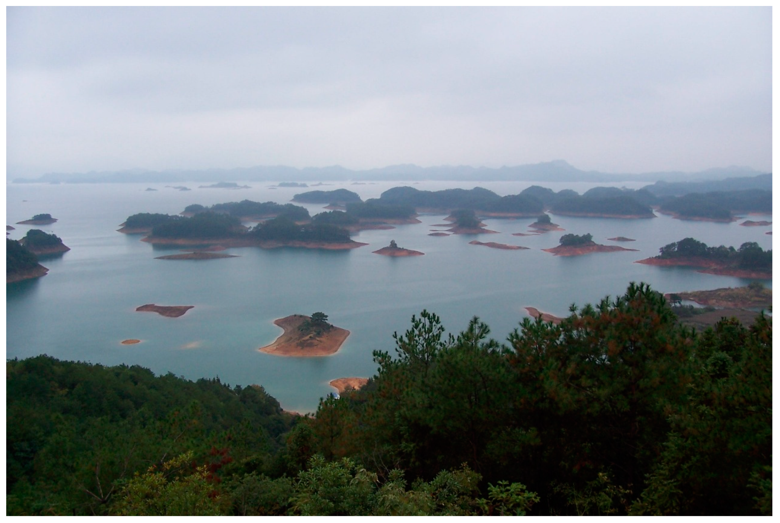 Forests 10 00792 g003 Forests 10 00792 g003