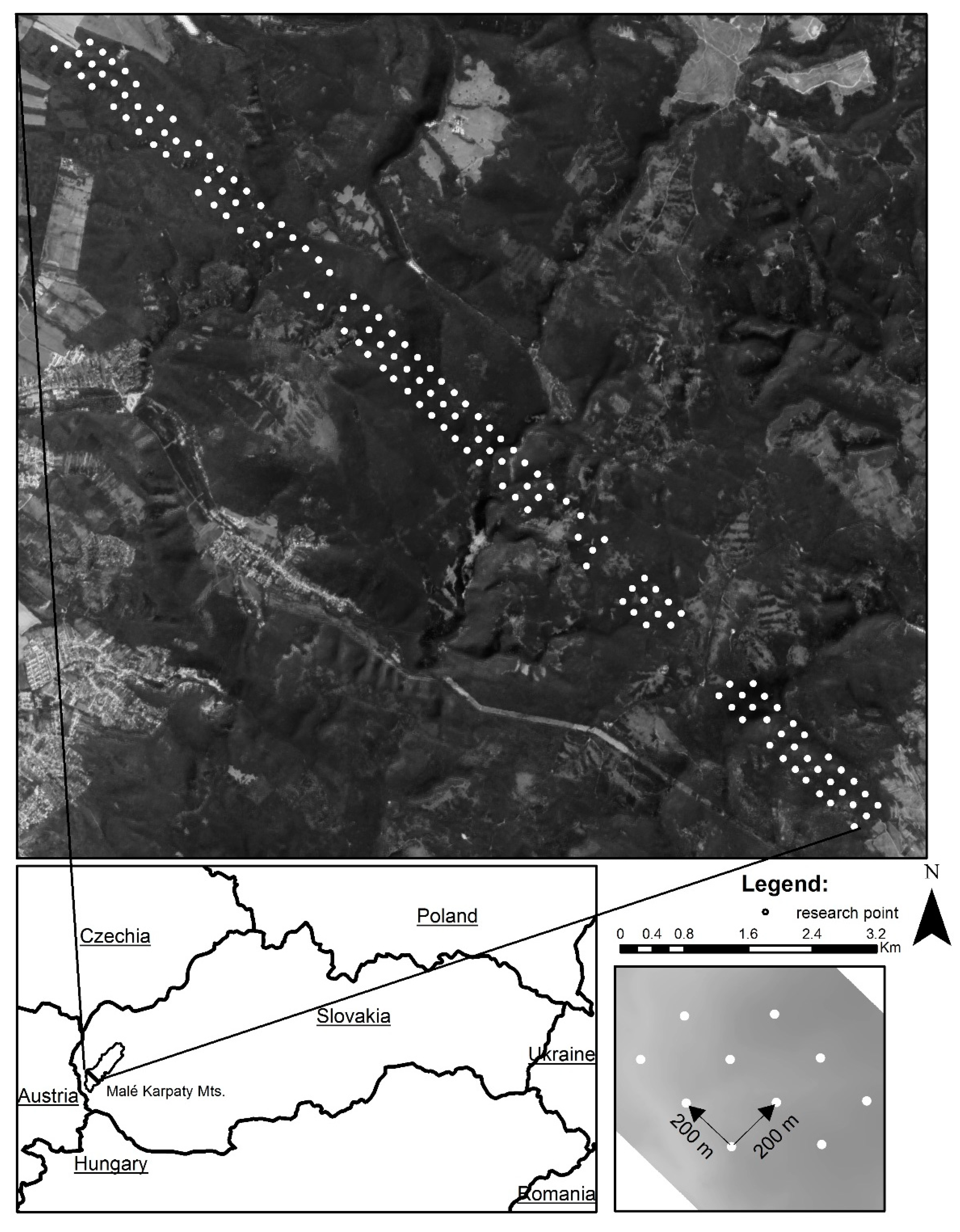 Forests 10 00798 g001 Forests 10 00798 g001