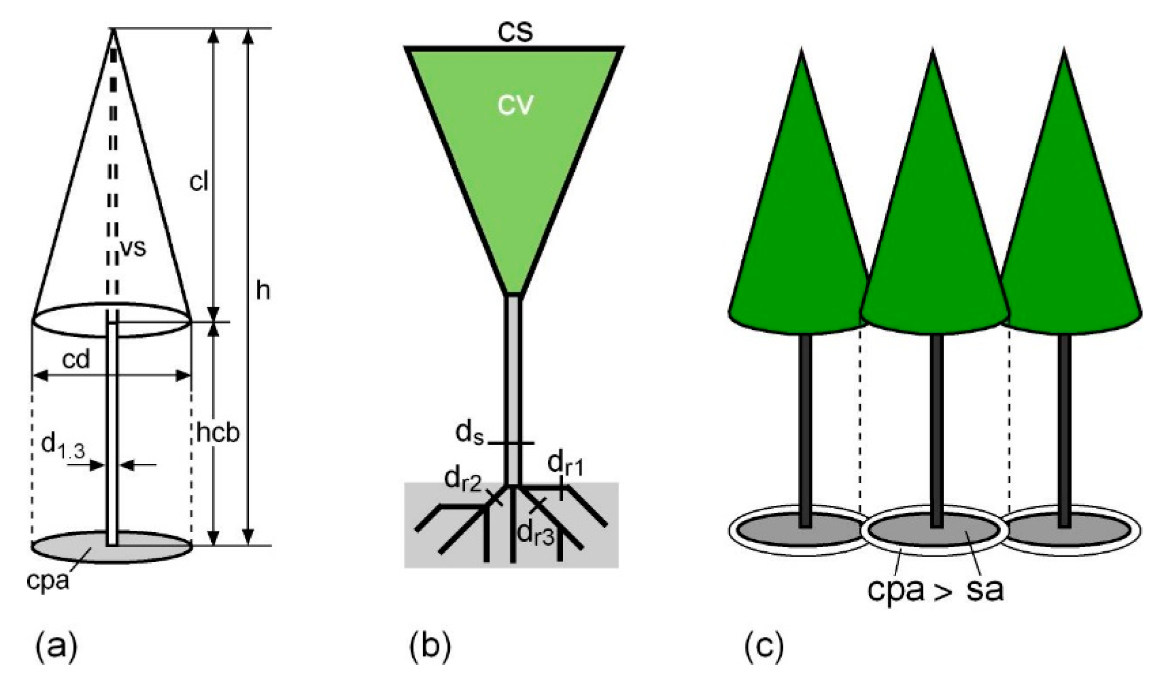 Forests 10 00810 g001