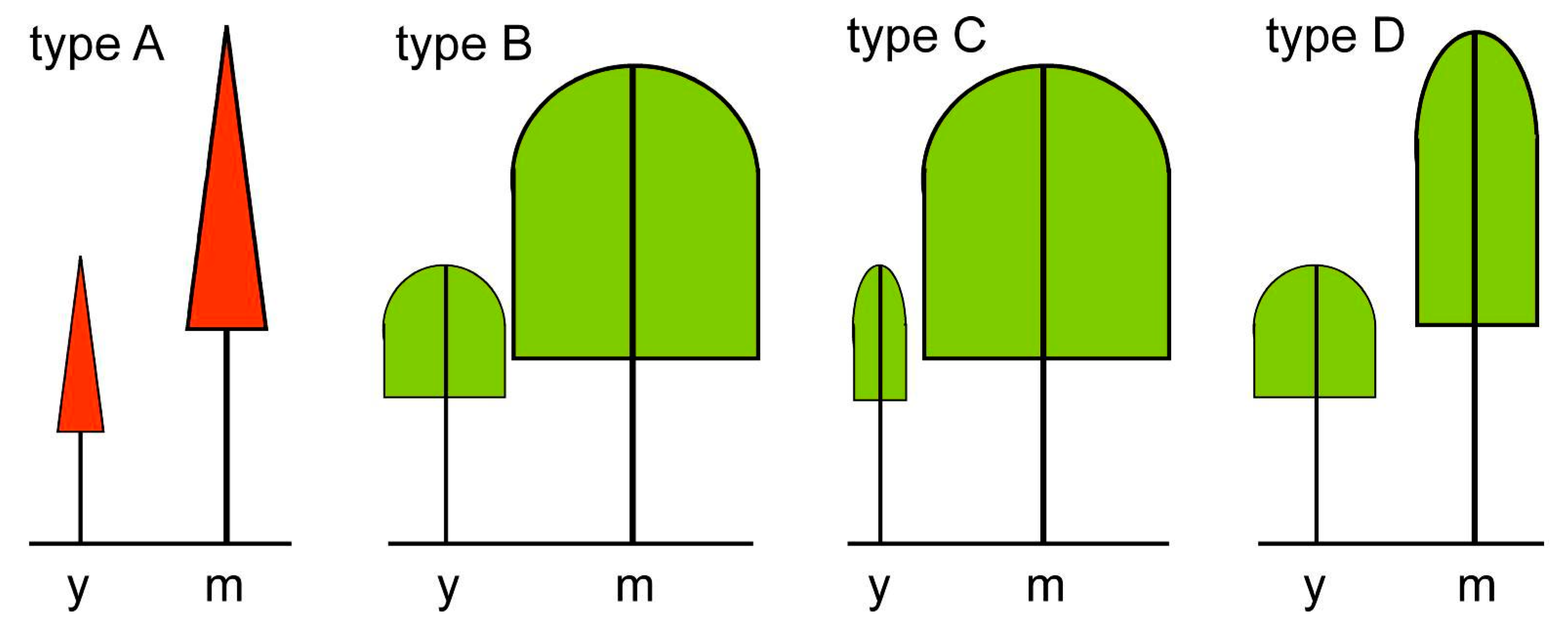 Forests 10 00810 g003