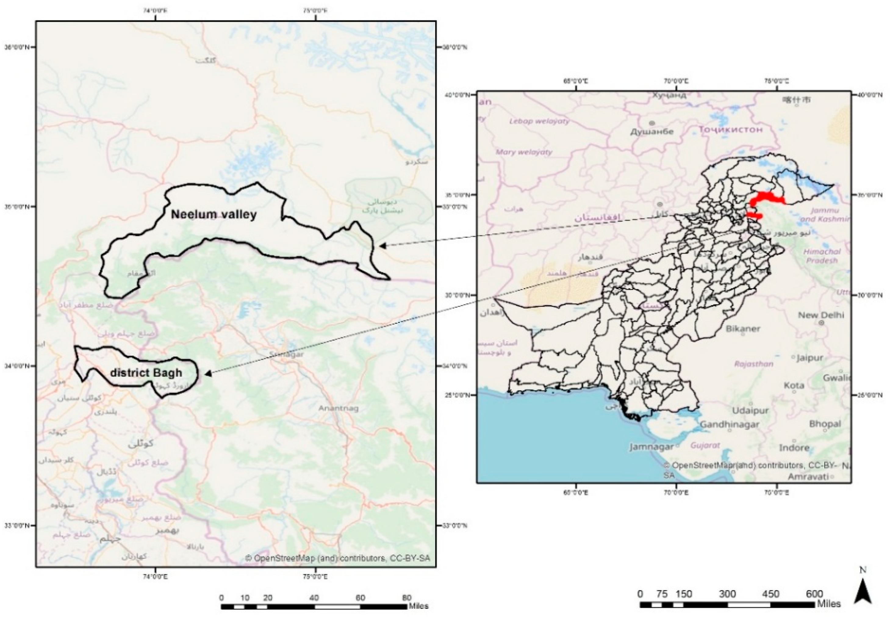 Forests 10 00813 g001