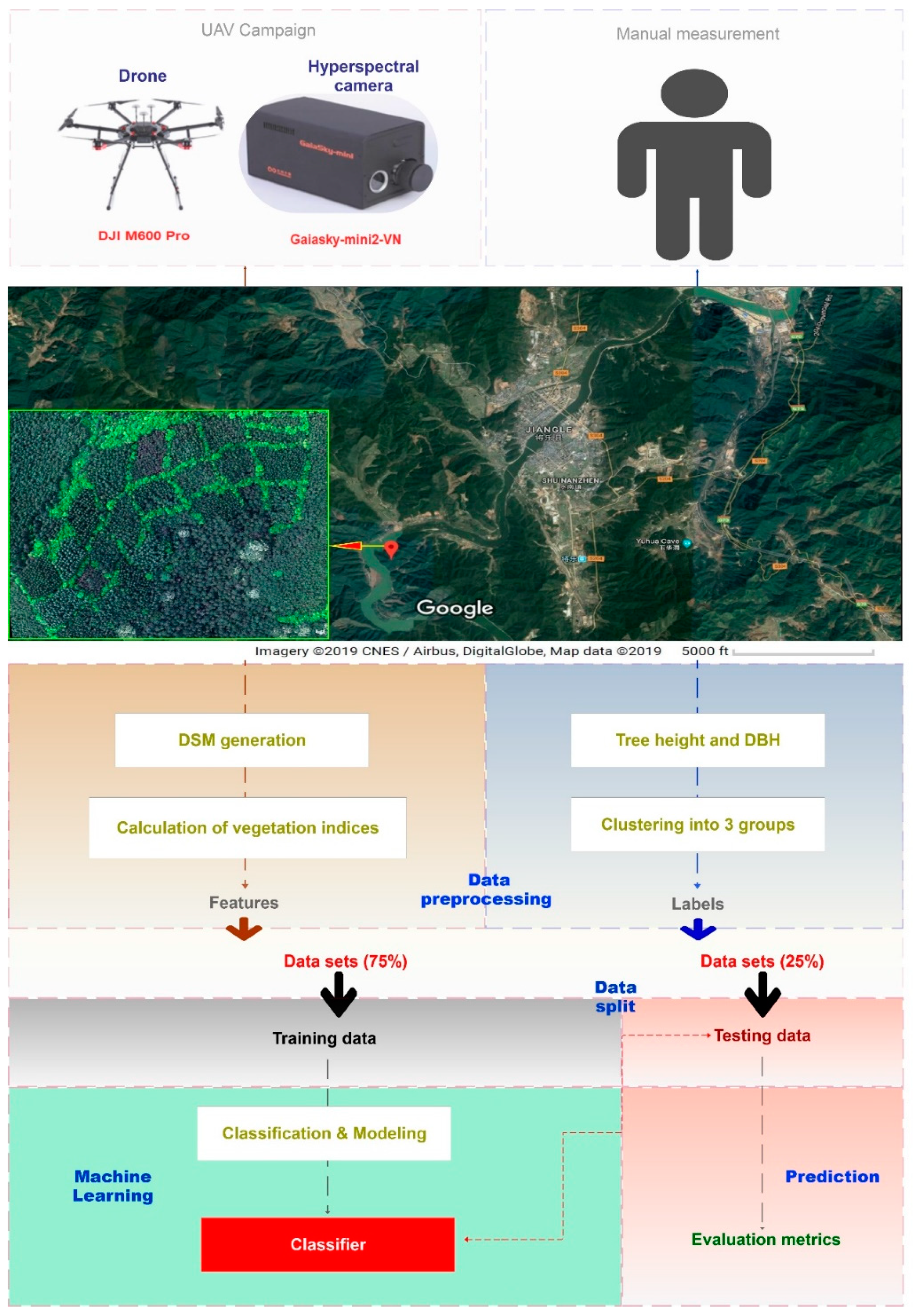 Forests 10 00815 g001