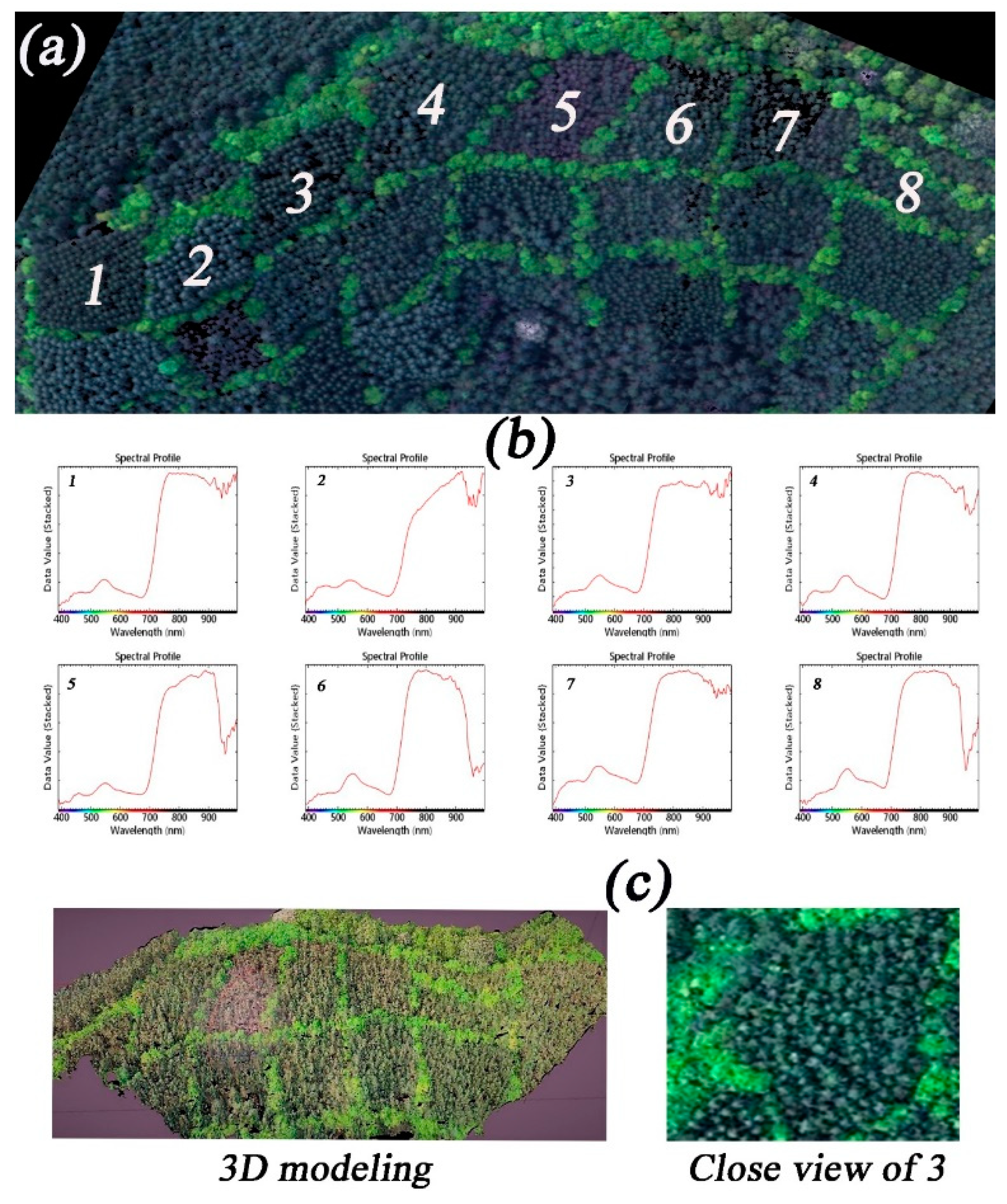 Forests 10 00815 g005