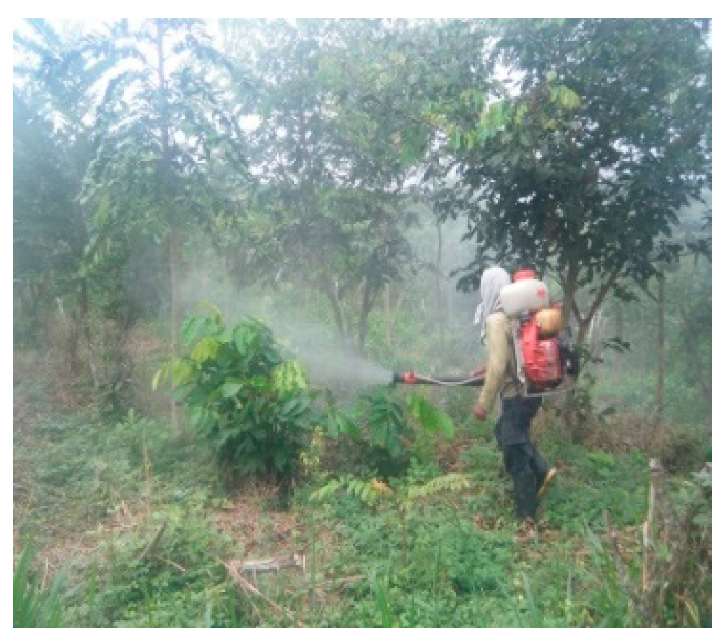 Forests 10 00851 g013 Forests 10 00851 g013