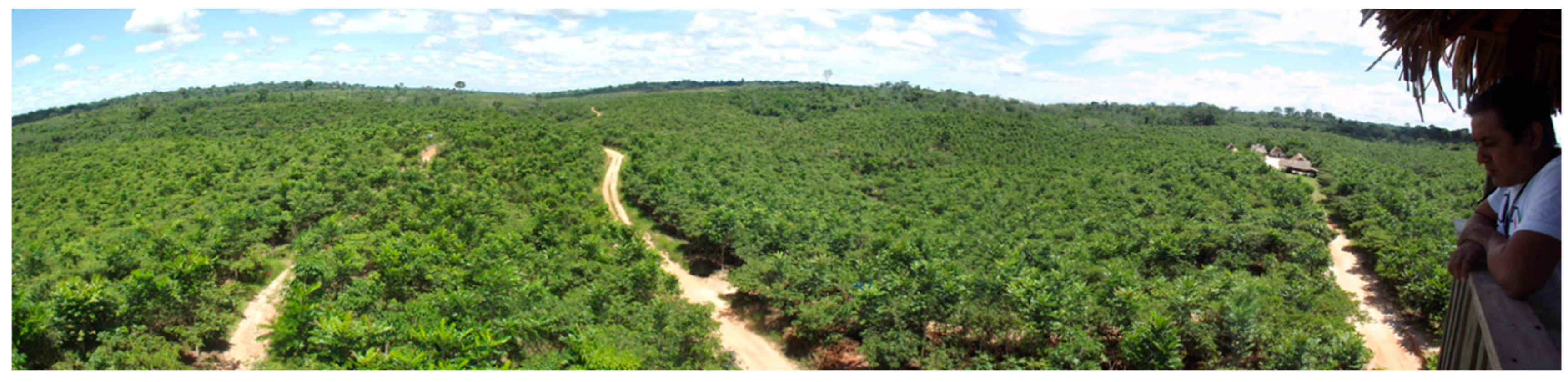 Forests 10 00851 g022 Forests 10 00851 g022