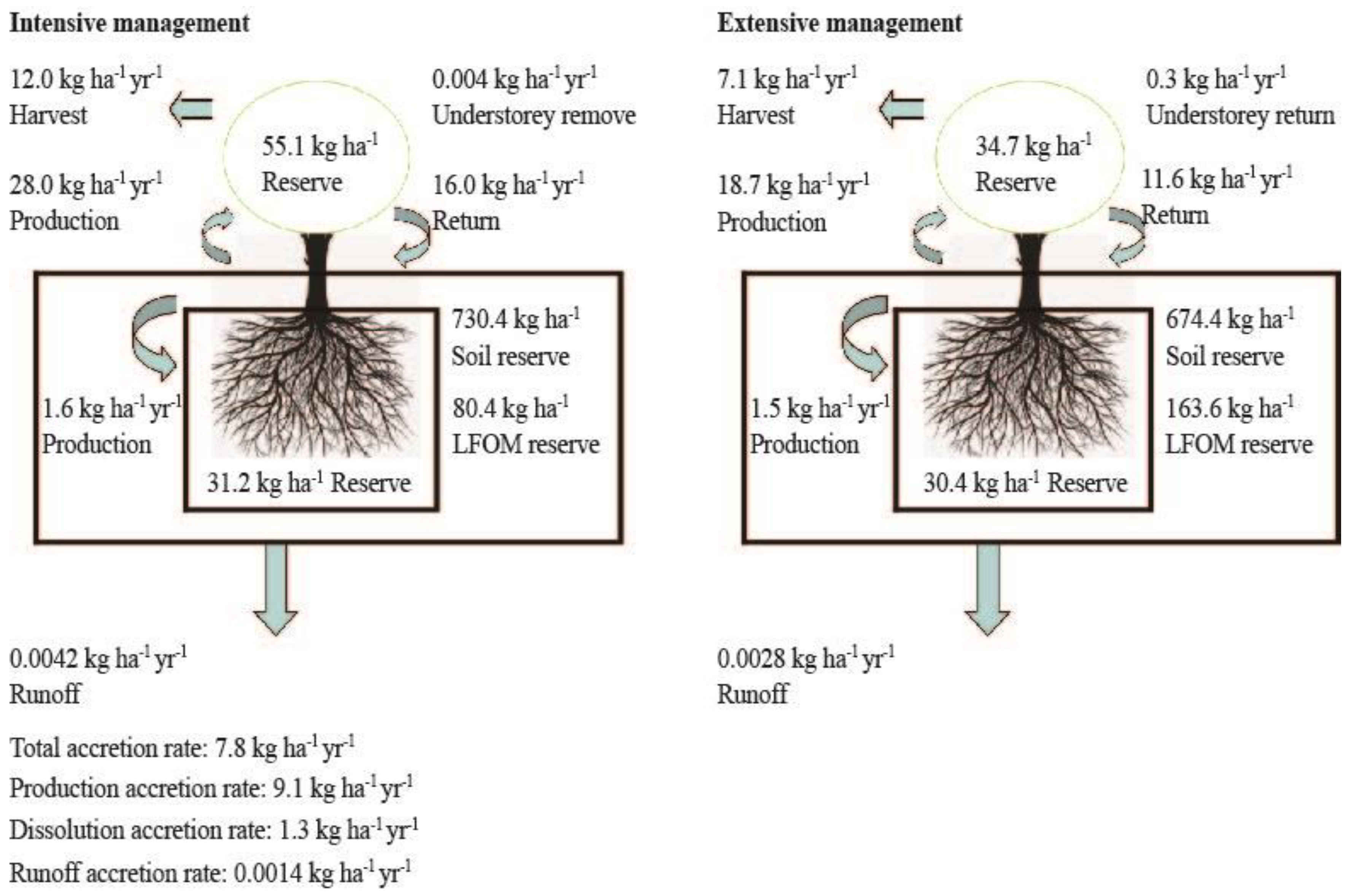 Forests 10 00883 g005