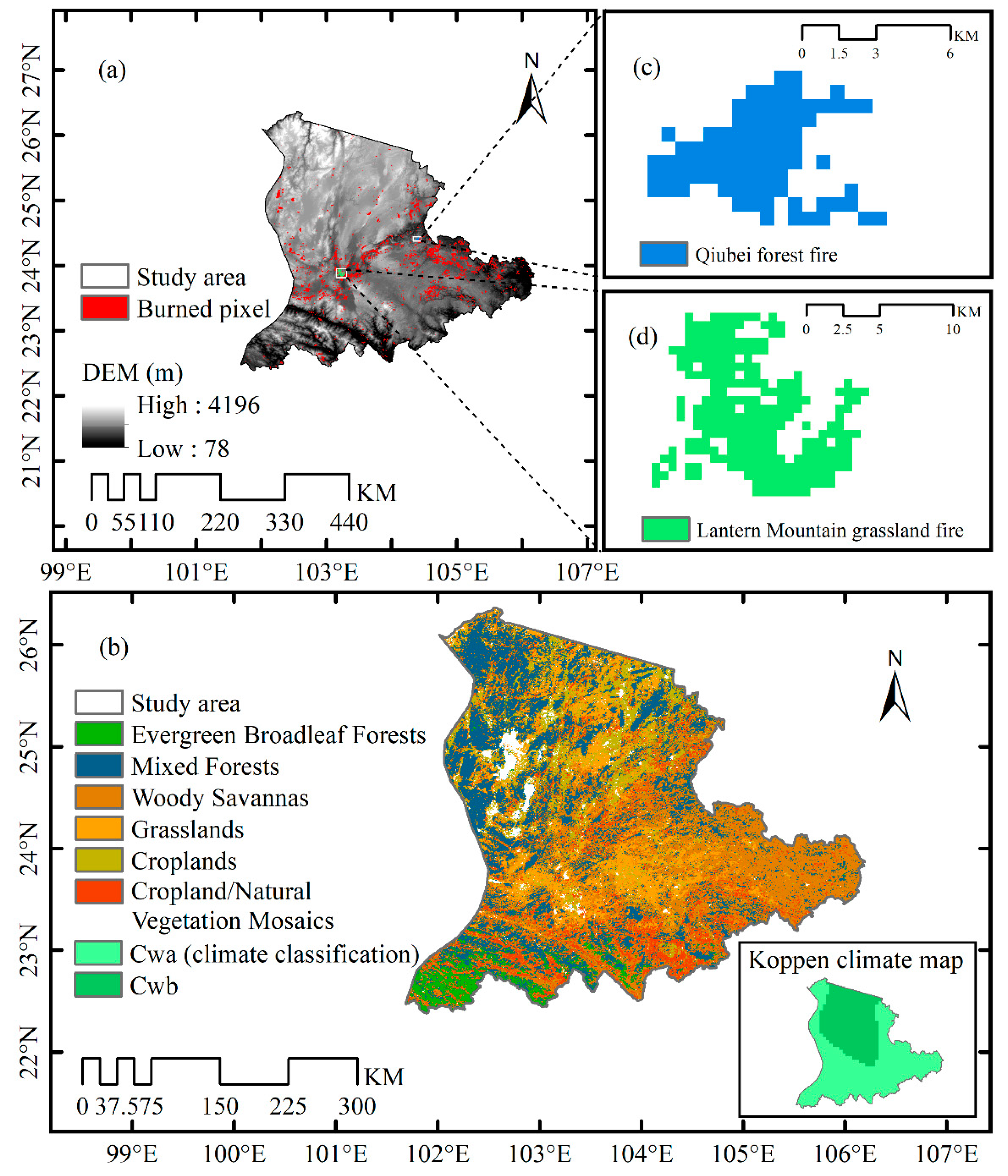 Forests 10 00887 g001