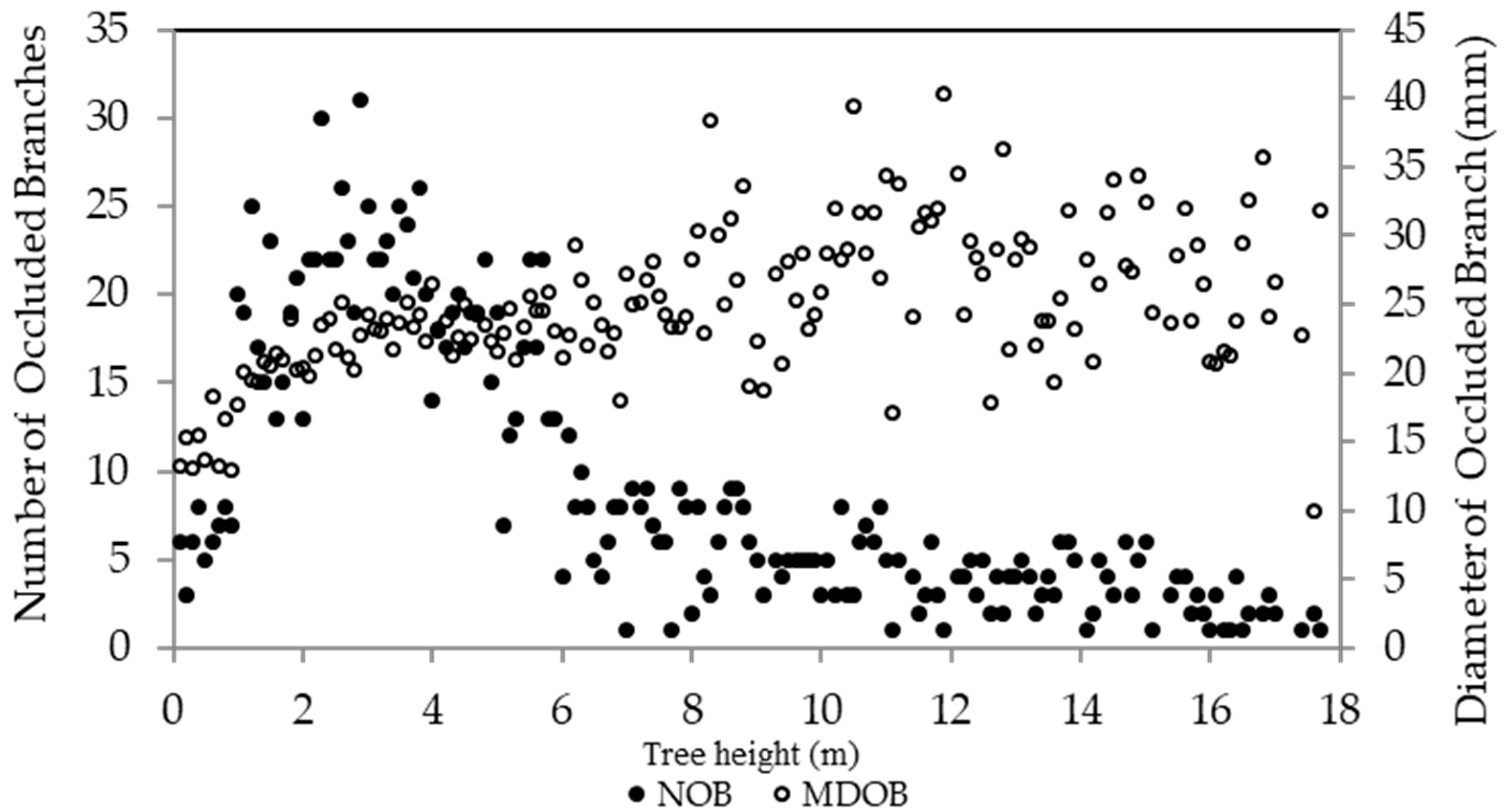 Forests 10 00892 g004
