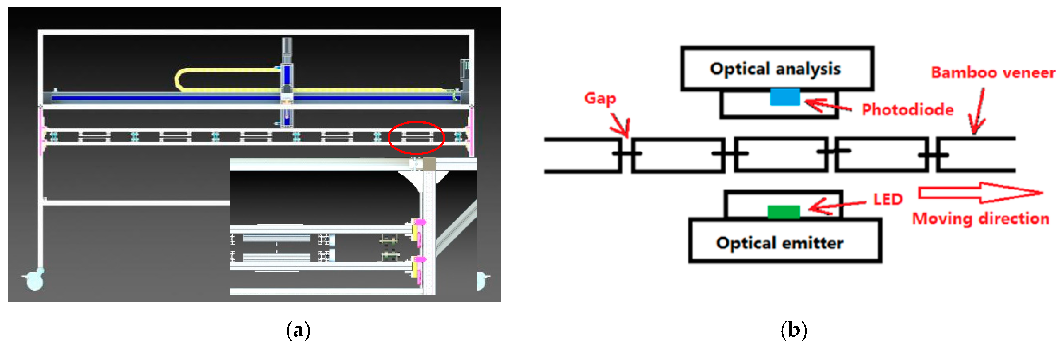 Forests 10 00921 g002