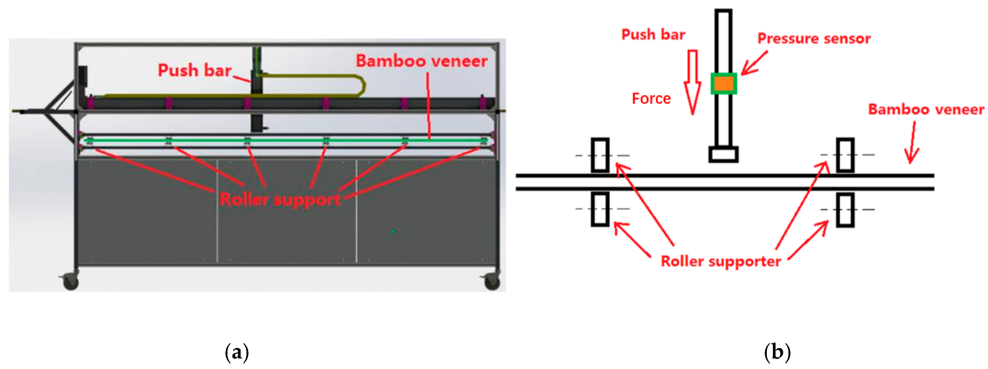 Forests 10 00921 g003