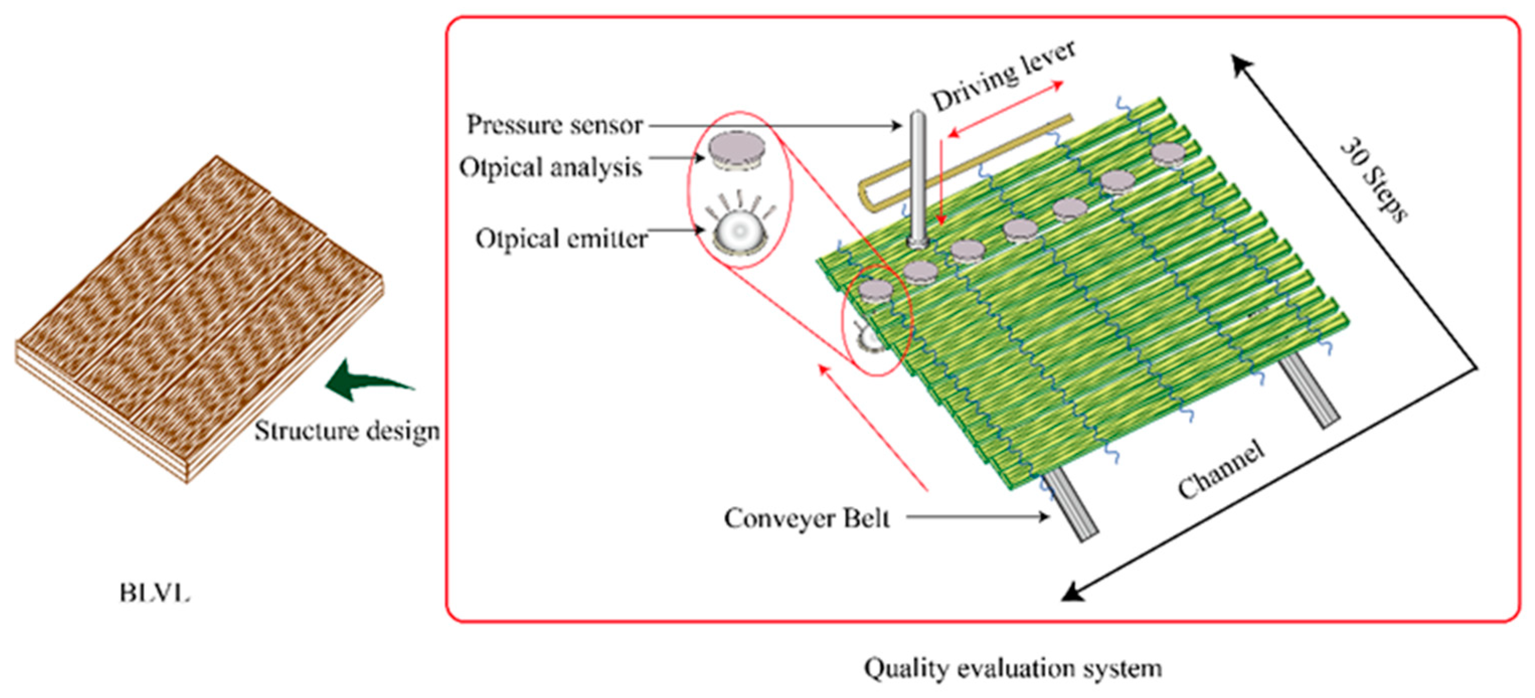 Forests 10 00921 g004