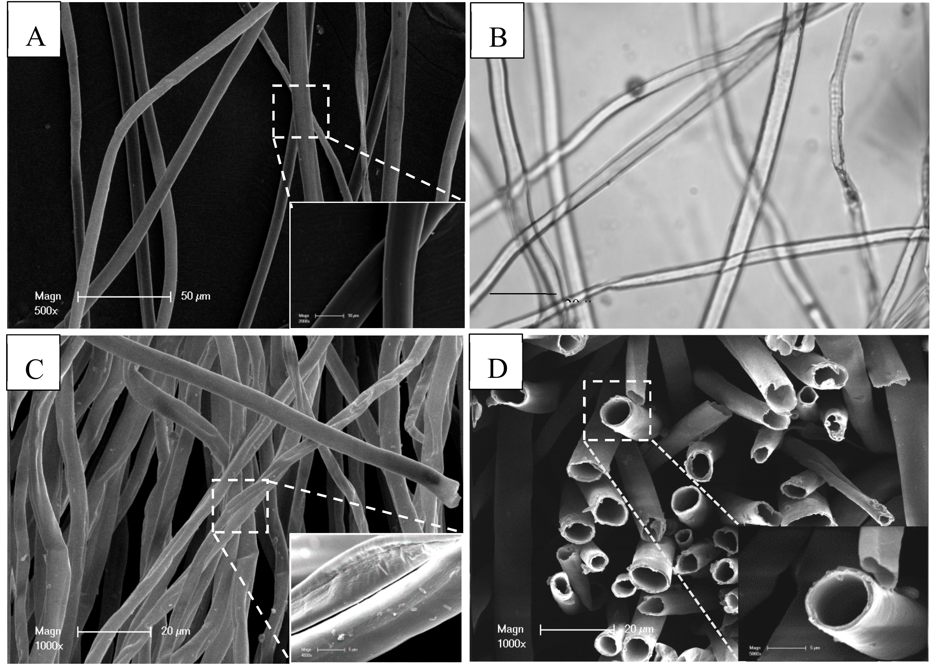 Forests 10 00938 g003