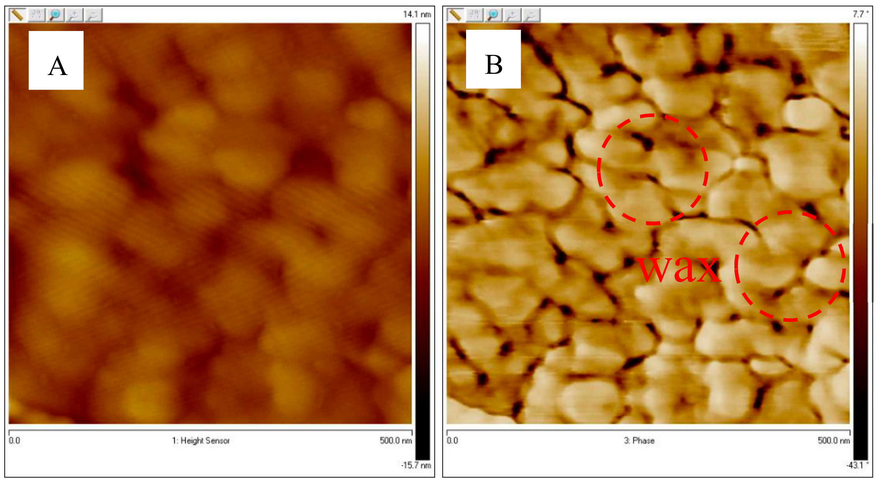 Forests 10 00938 g005