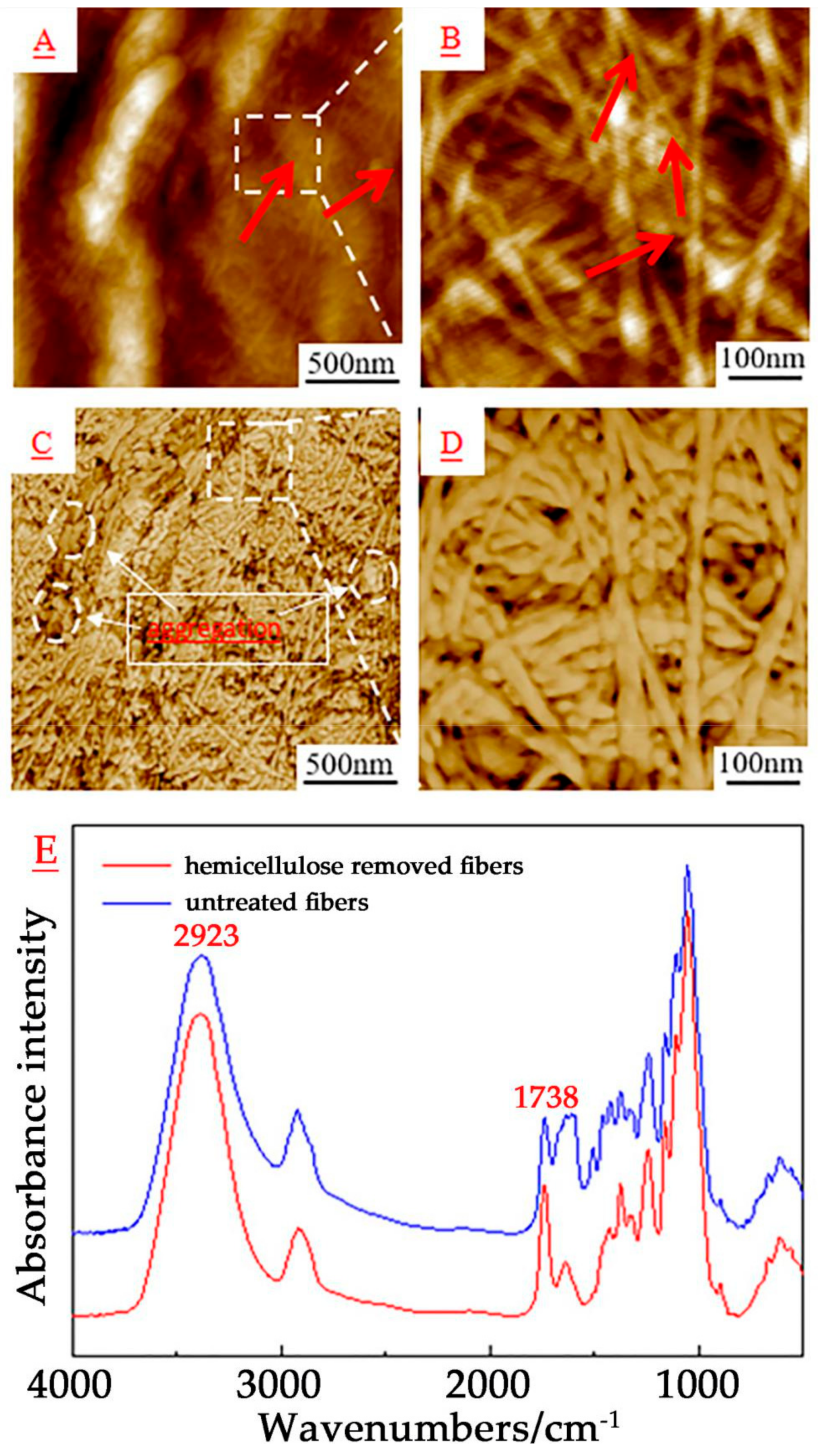 Forests 10 00938 g006