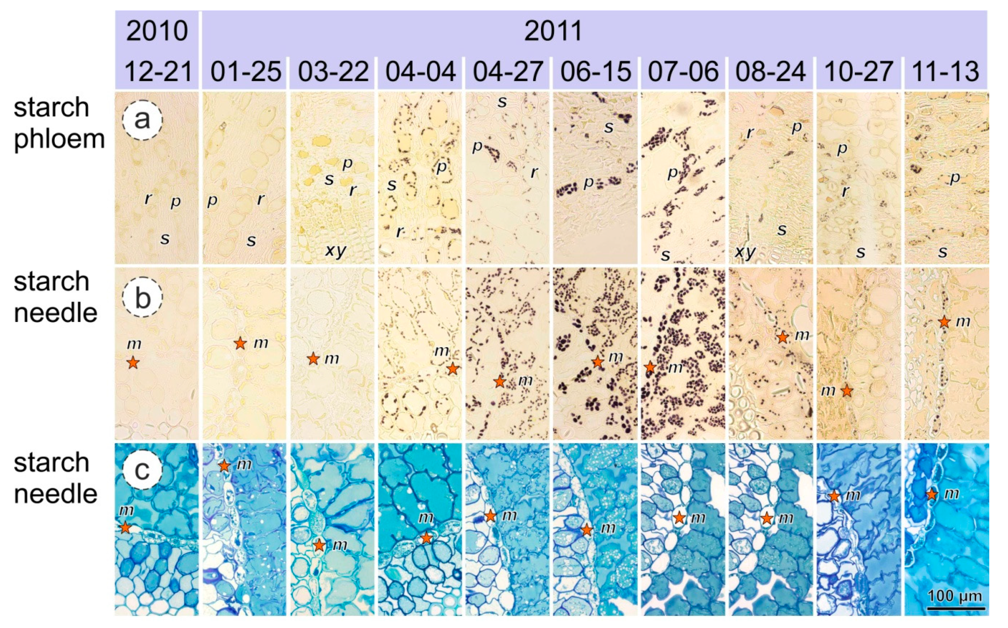 Forests 10 00941 g006