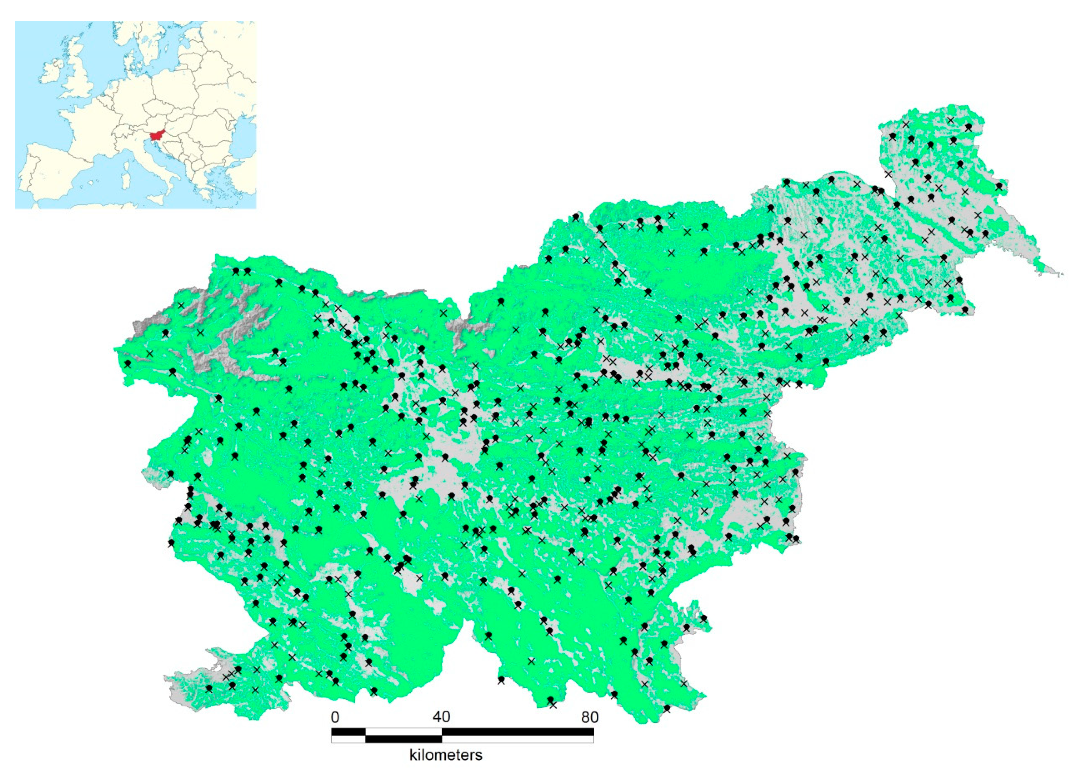 Forests 10 00956 g001