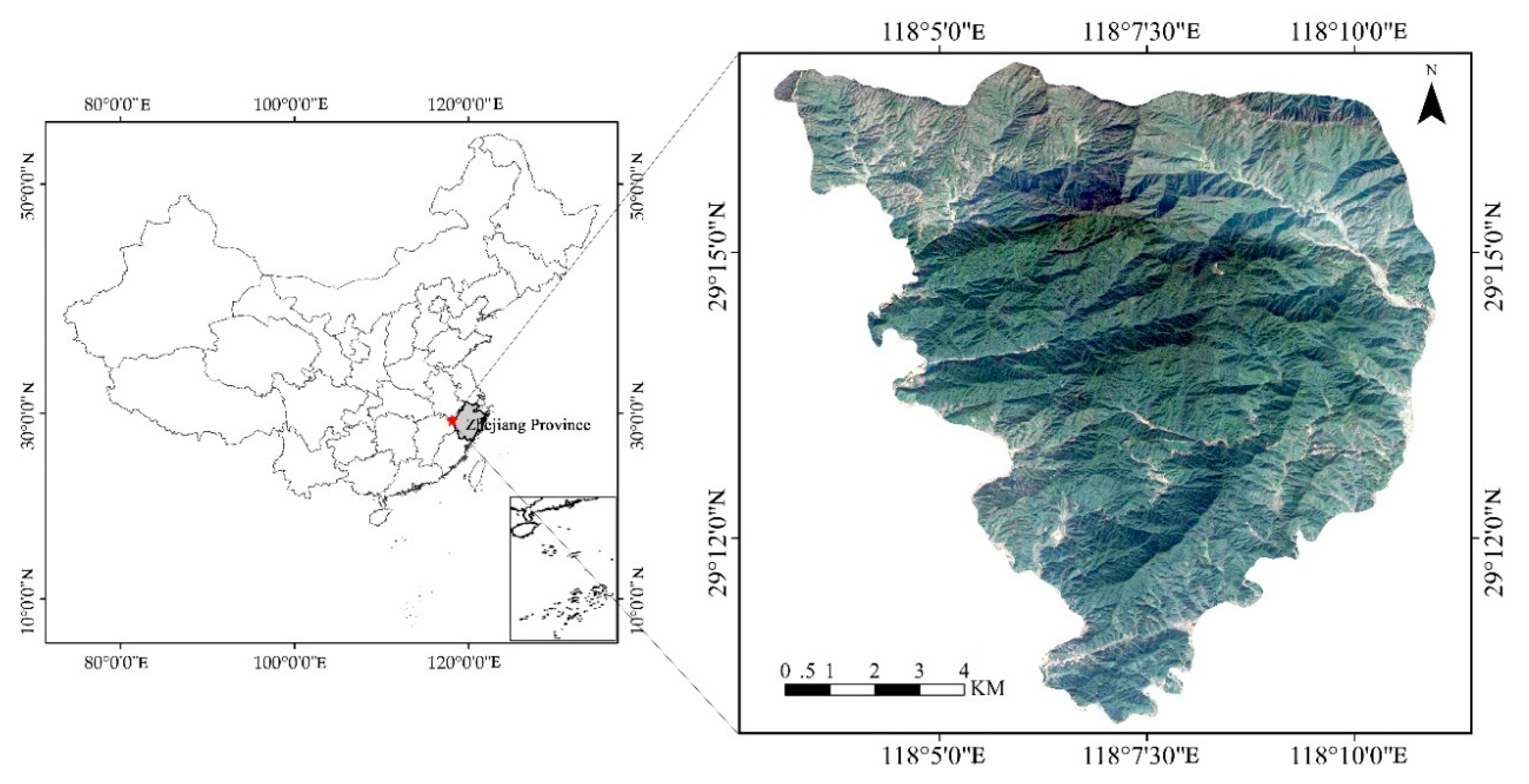 Forests 10 00957 g001
