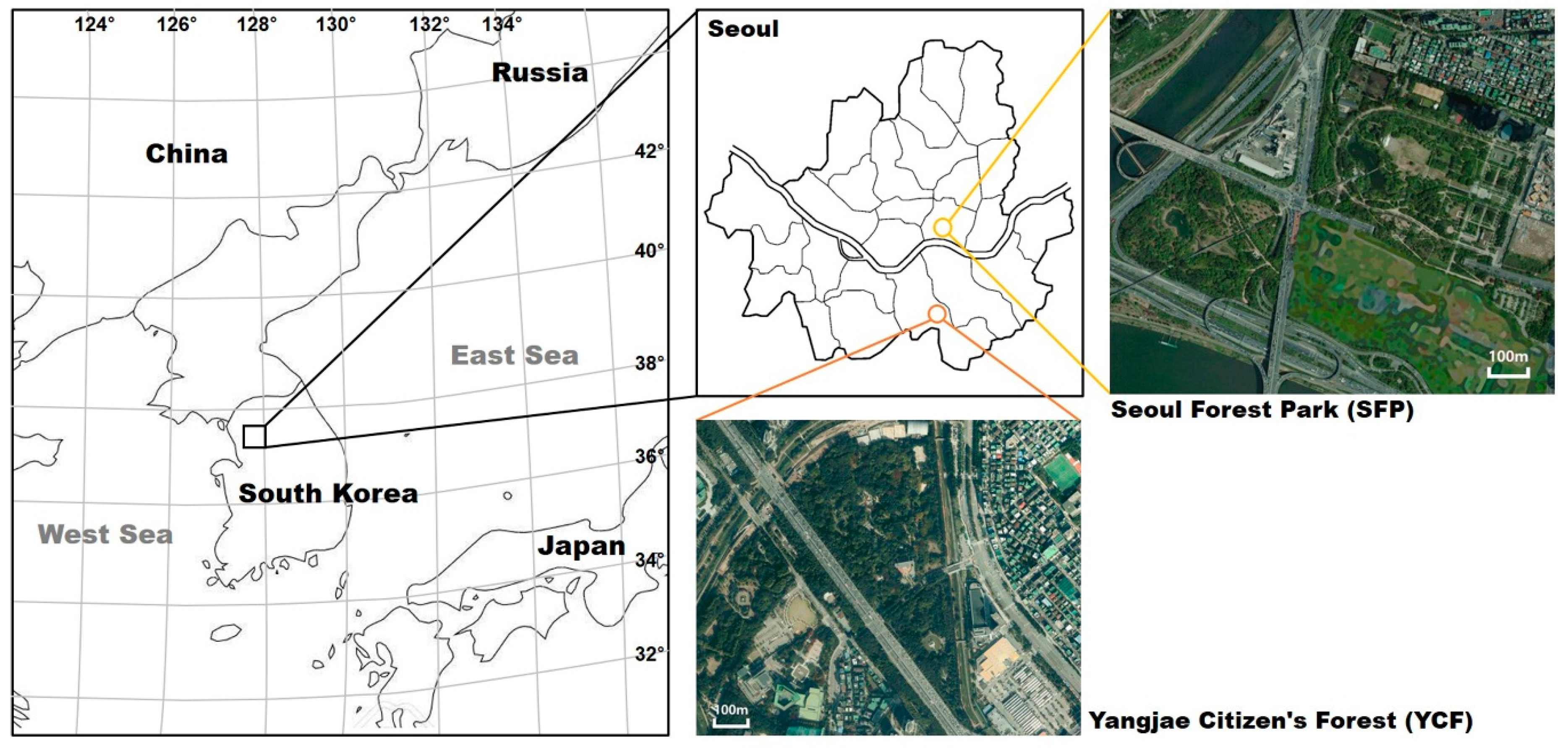 Forests 10 00960 g001 Forests 10 00960 g001