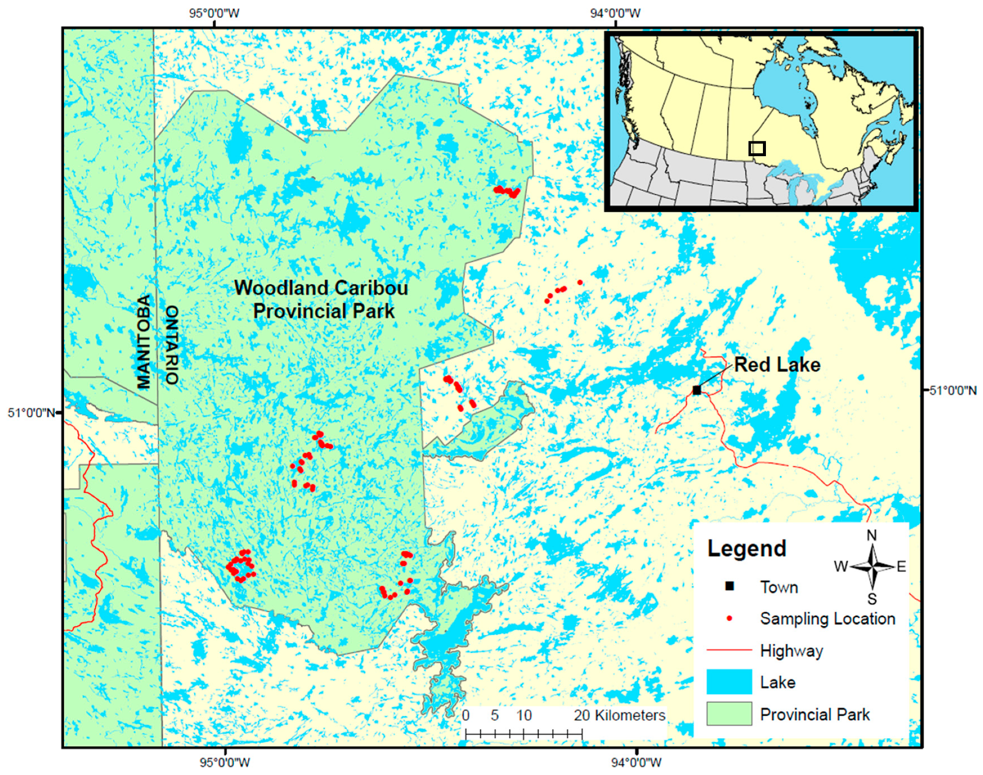 Forests 10 00962 g001