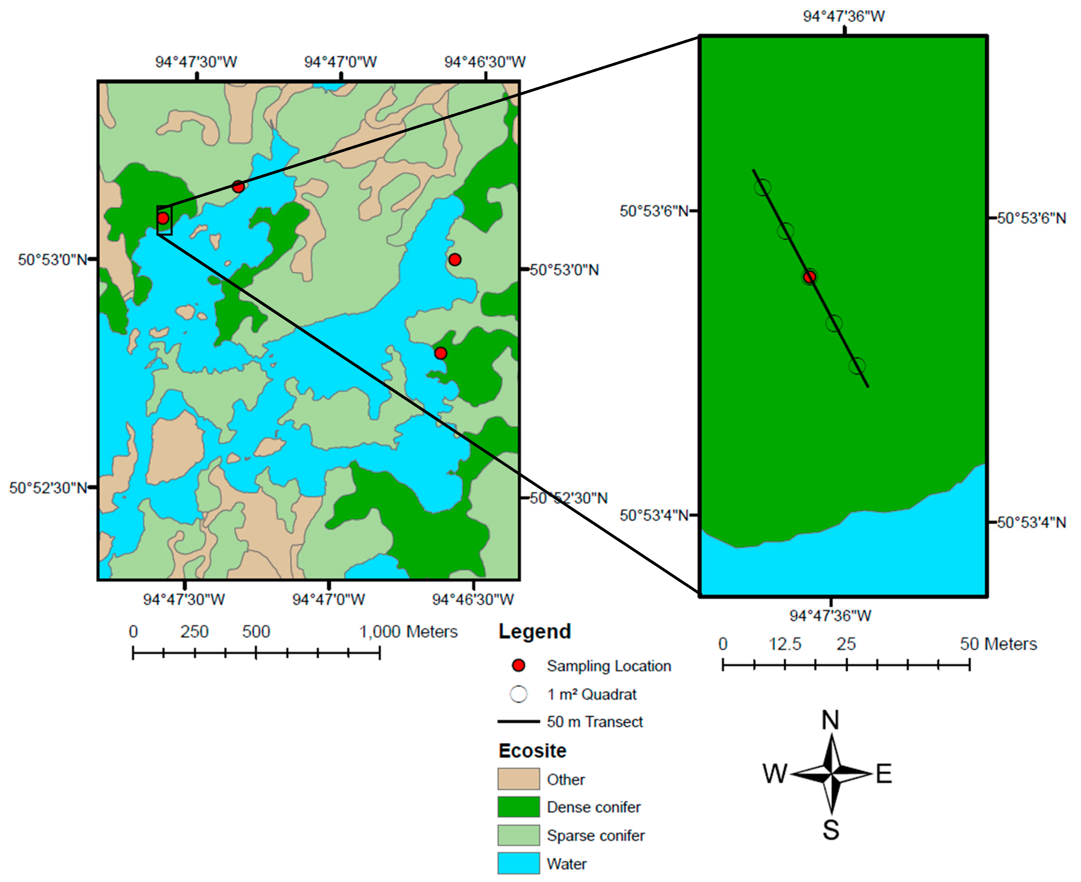 Forests 10 00962 g004