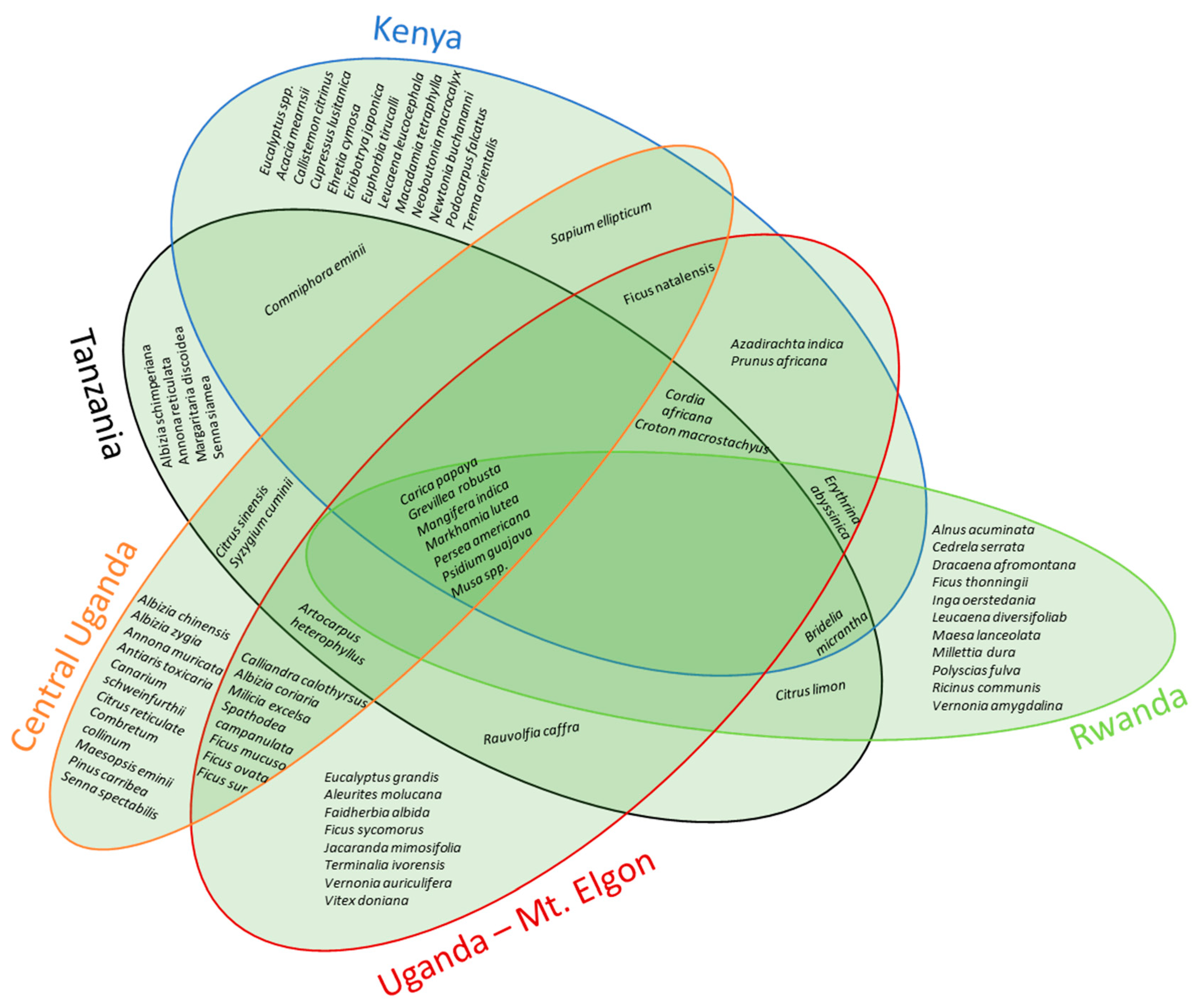 Forests 10 00963 g007