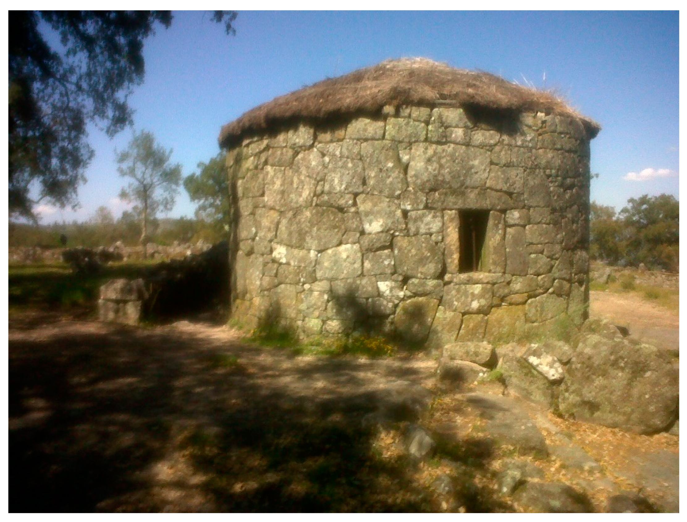 Forests 10 00974 g004