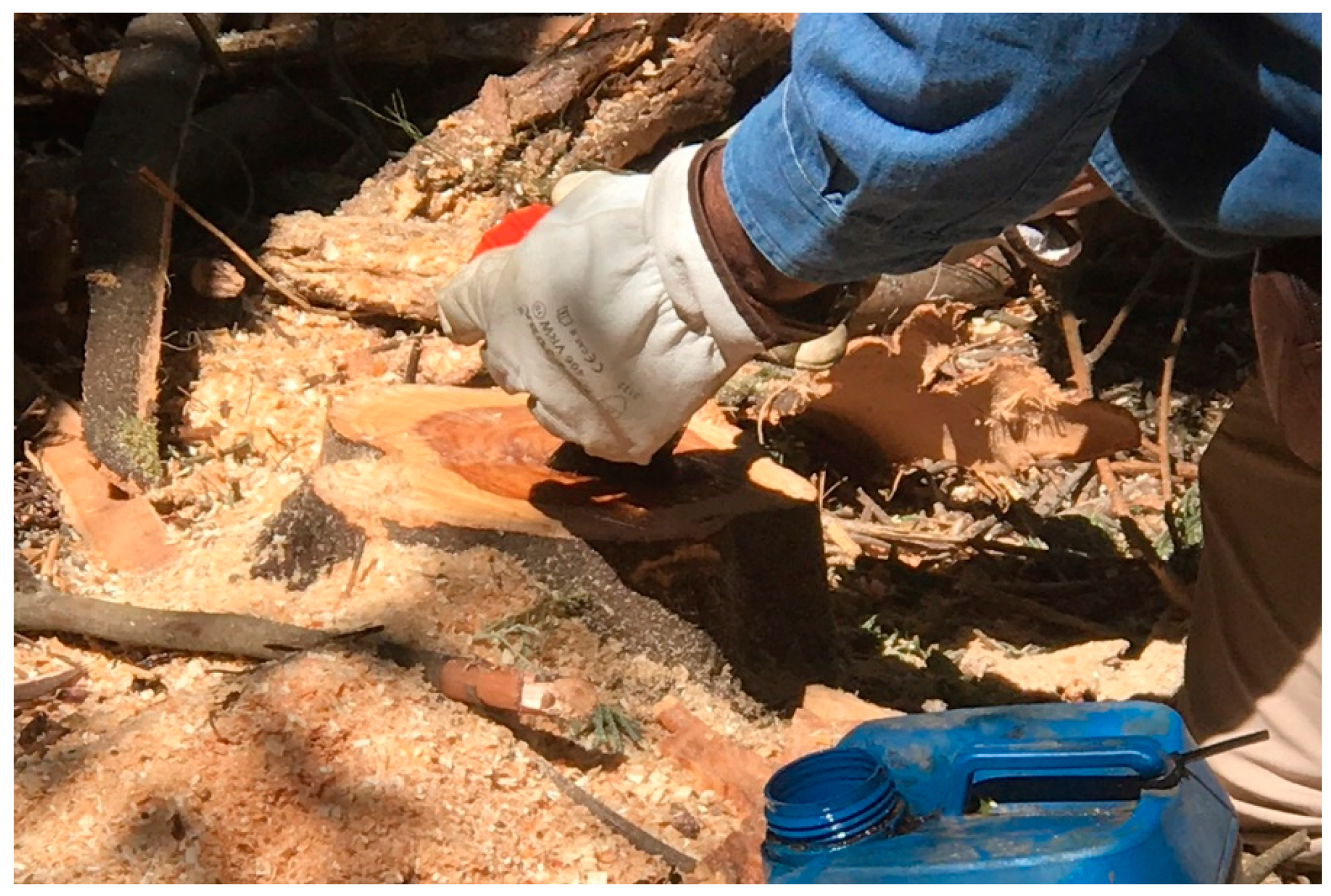 Forests 10 00974 g009