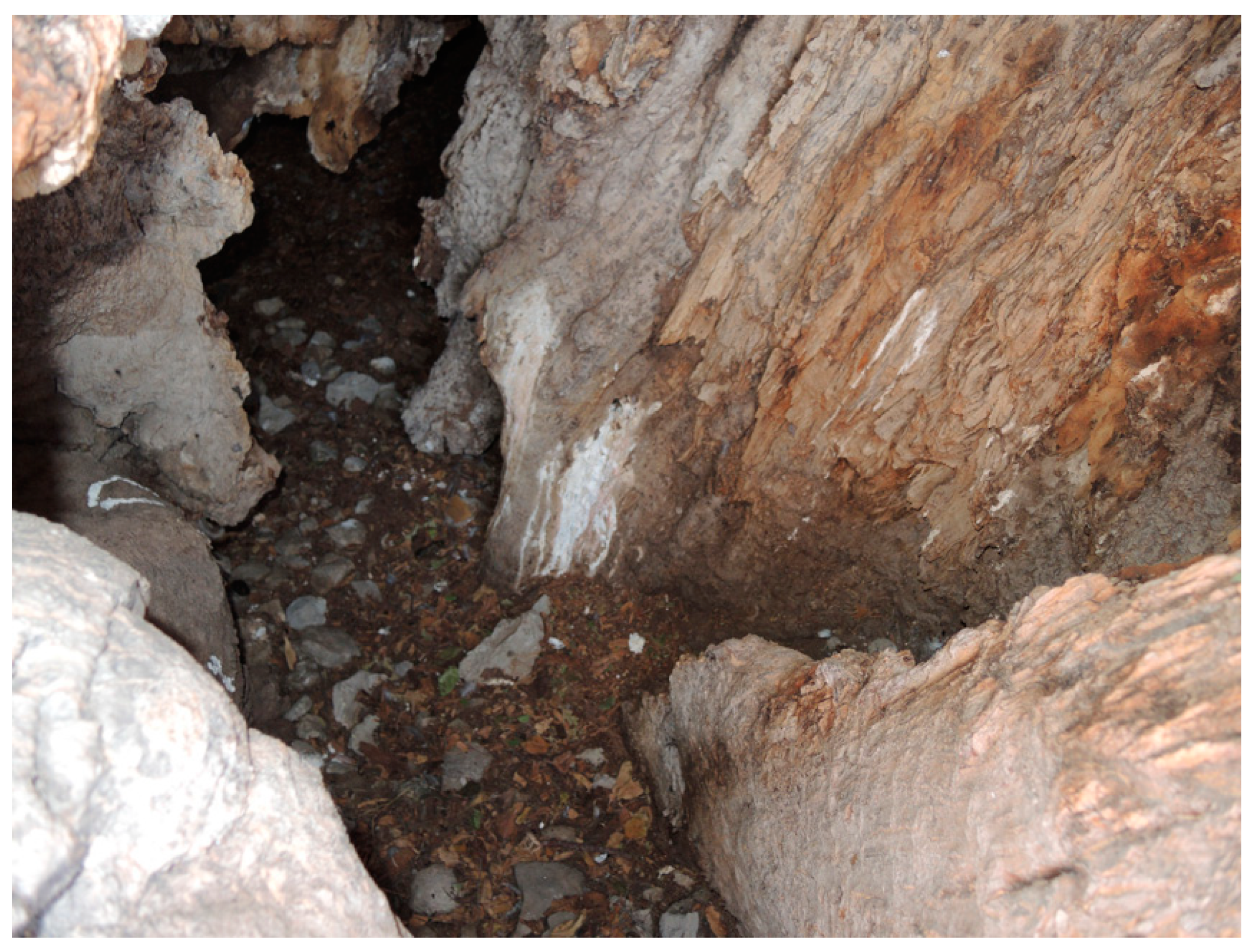 Forests 10 00983 g006 Forests 10 00983 g006