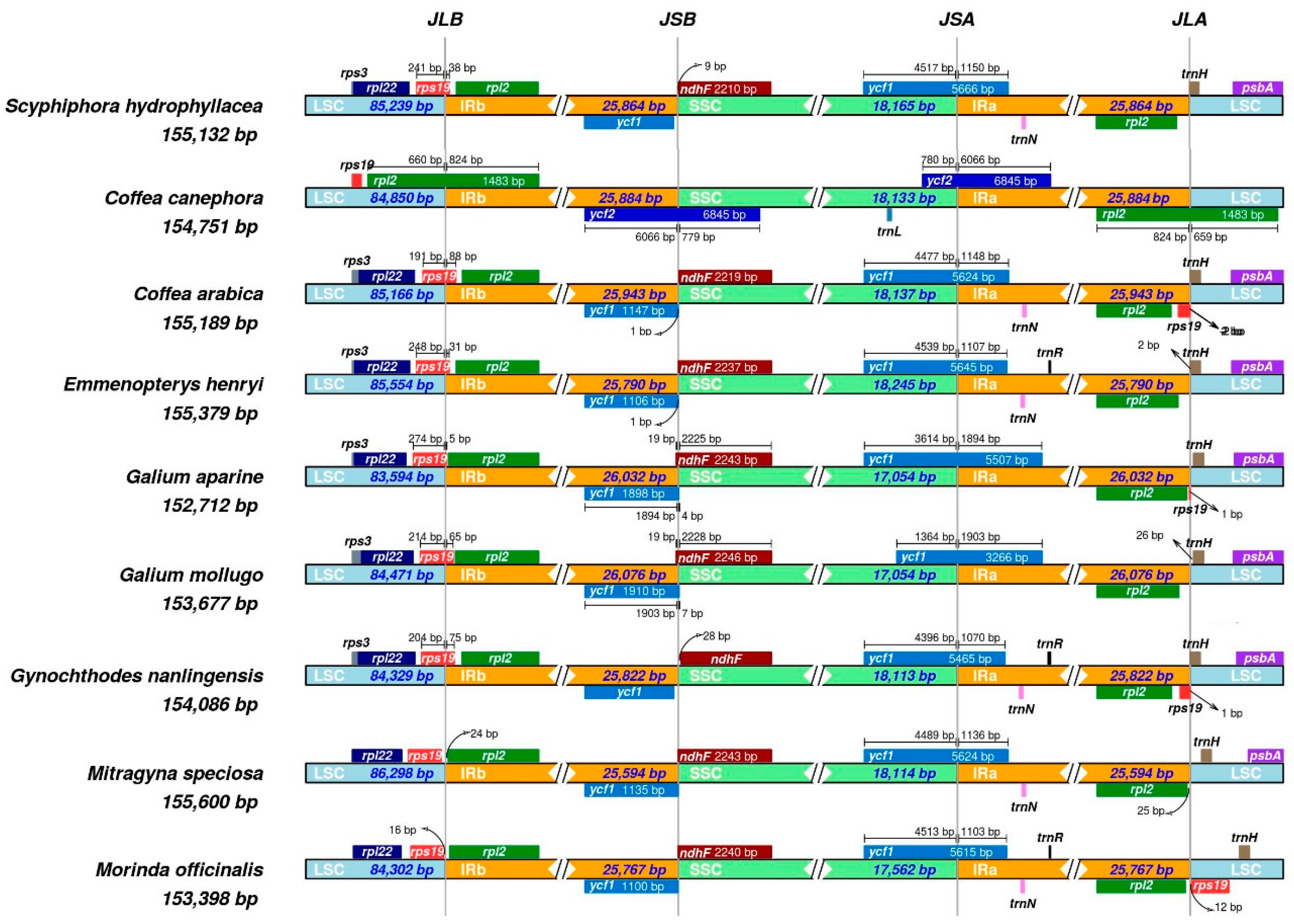 Forests 10 01000 g005