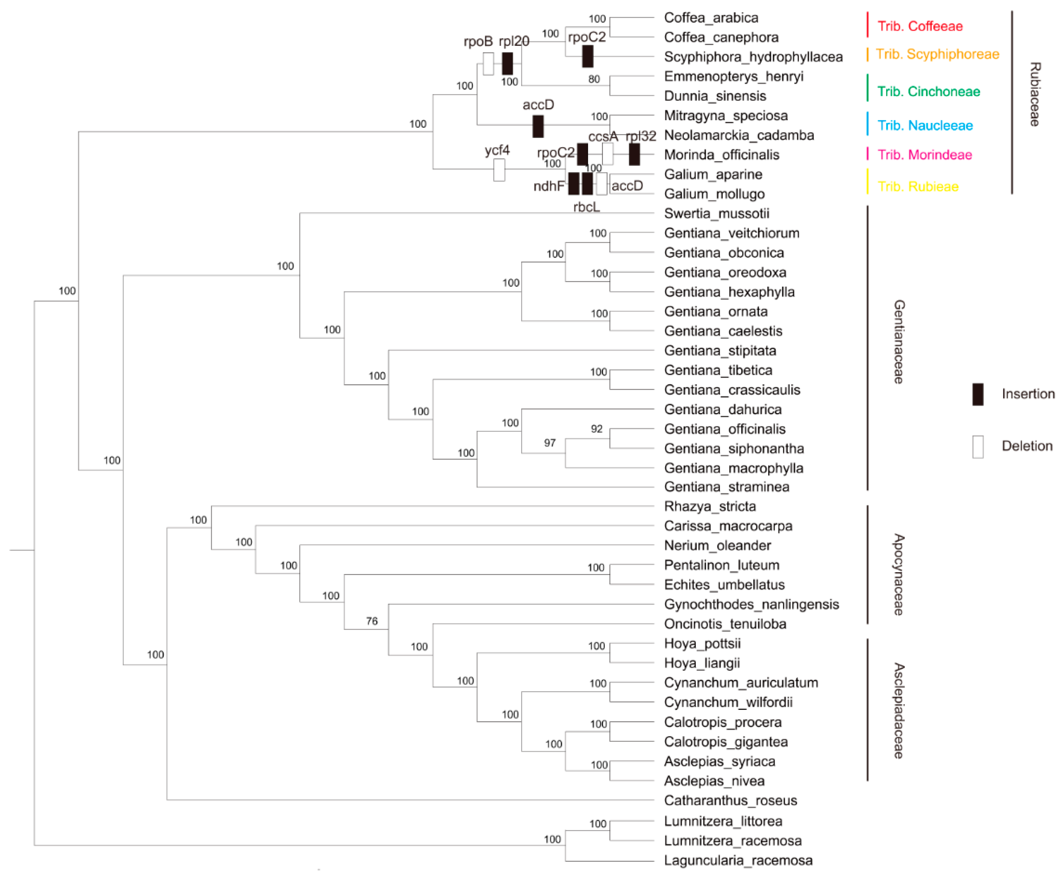 Forests 10 01000 g006