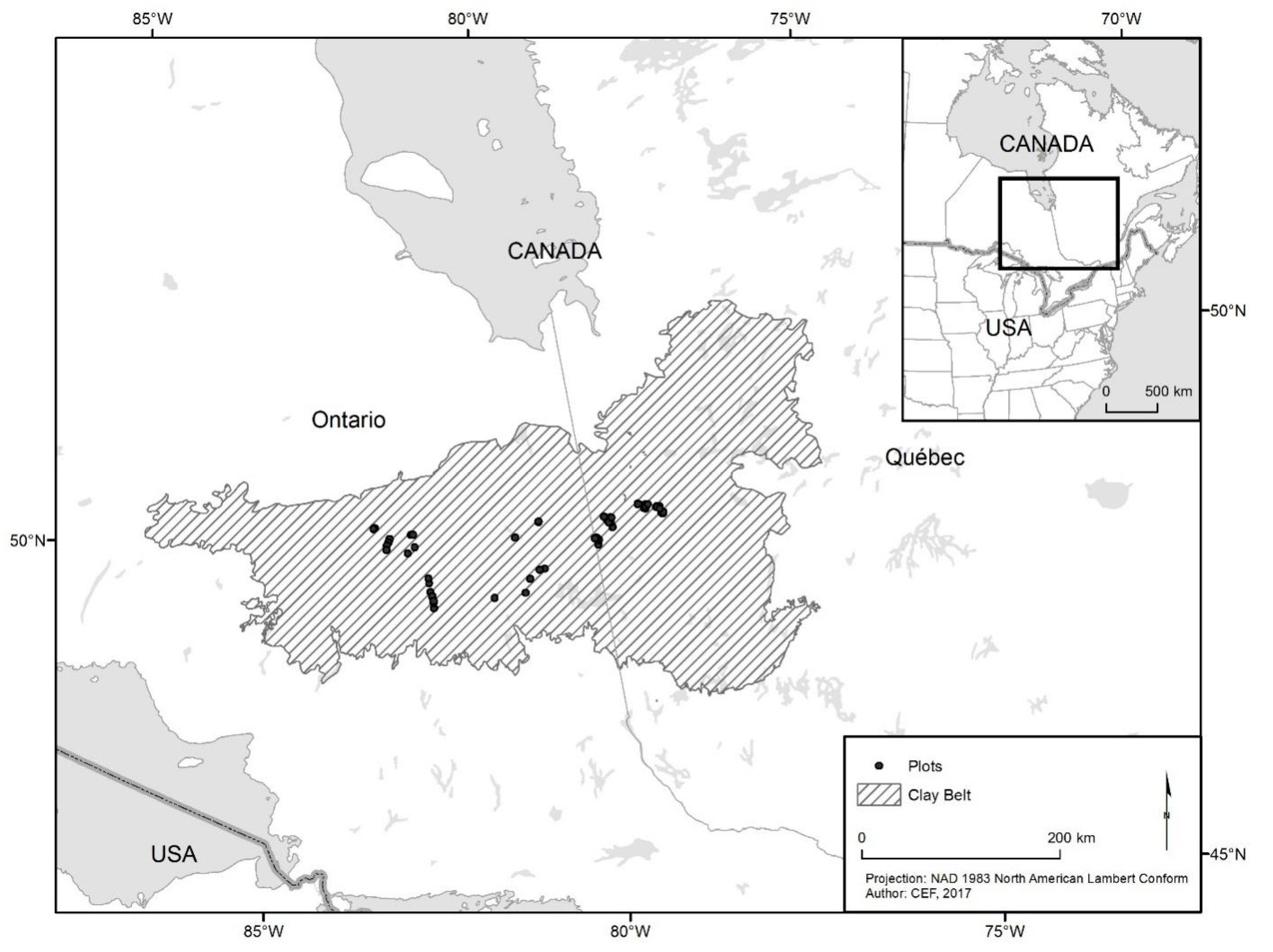 Forests 10 01006 g001
