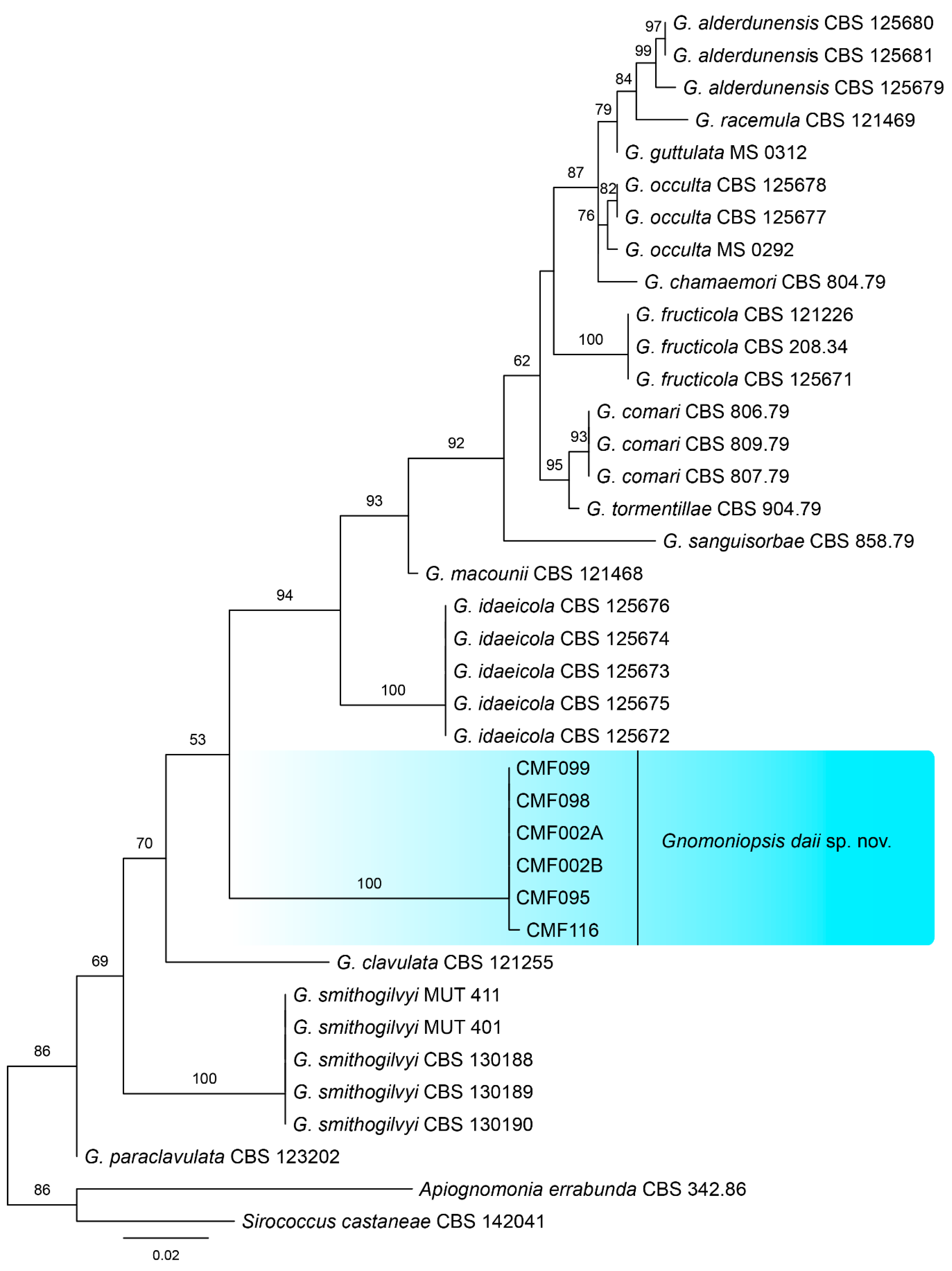 Forests 10 01016 g002