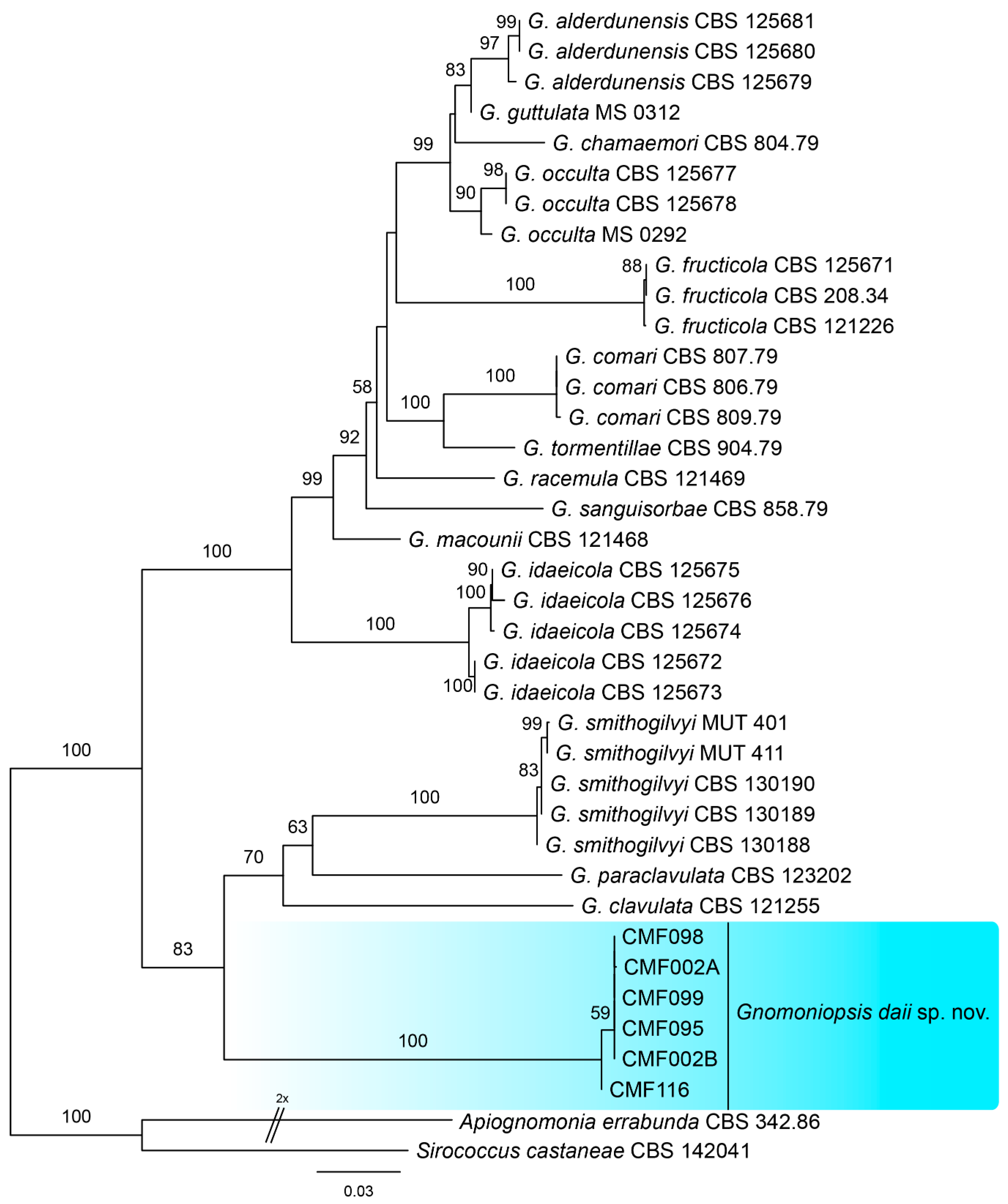 Forests 10 01016 g003