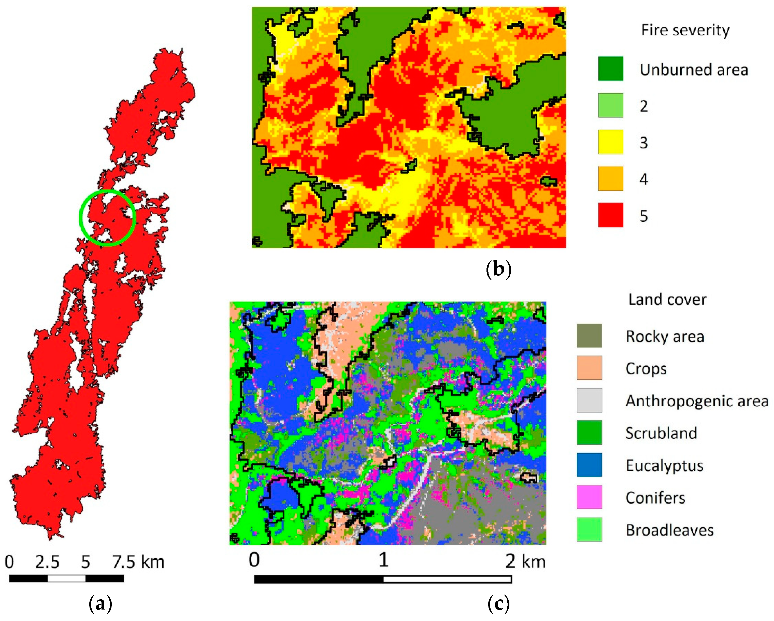 Forests 10 01021 g005