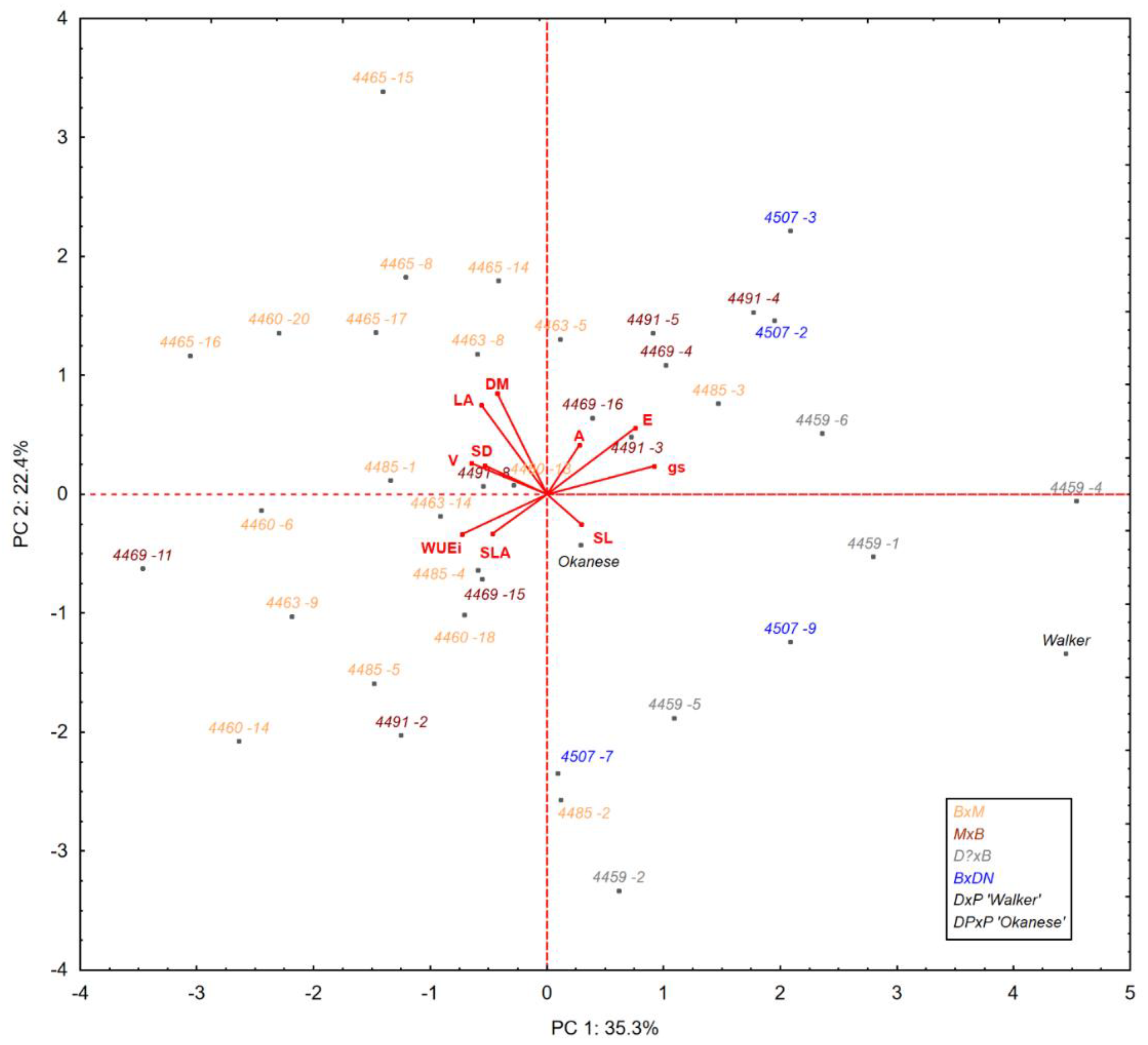 Forests 10 01041 g001