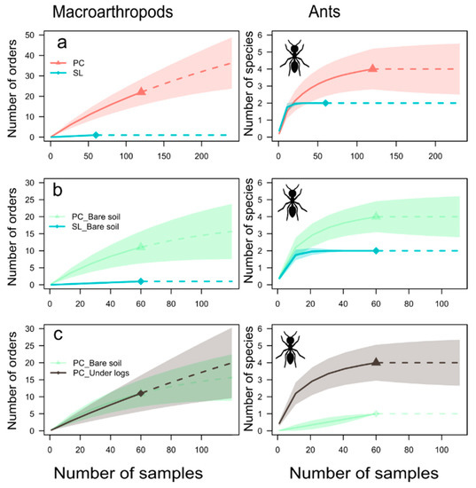 Forests 10 01046 g0a1